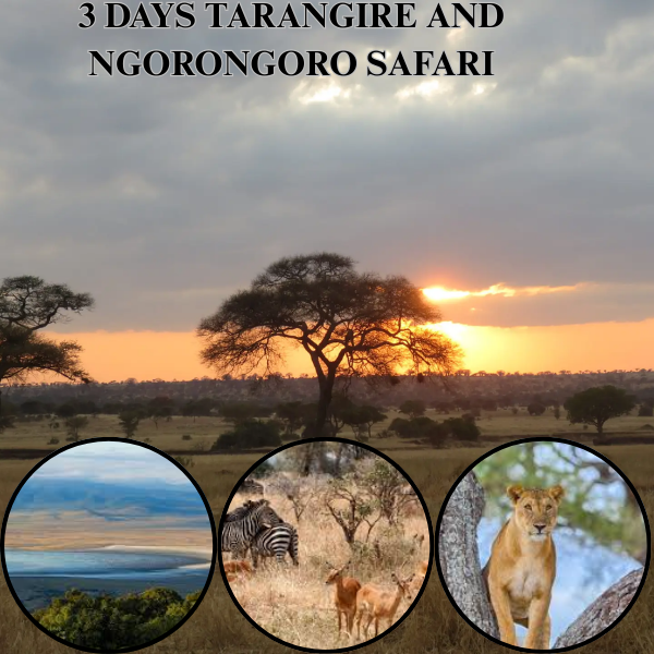 3-Day Tarangire and Ngorongoro Safari