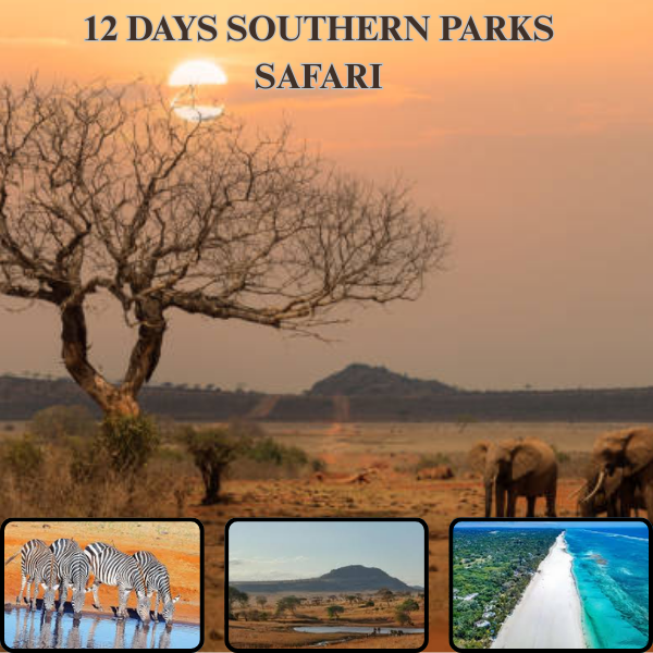 12-Day Southern Parks Safari