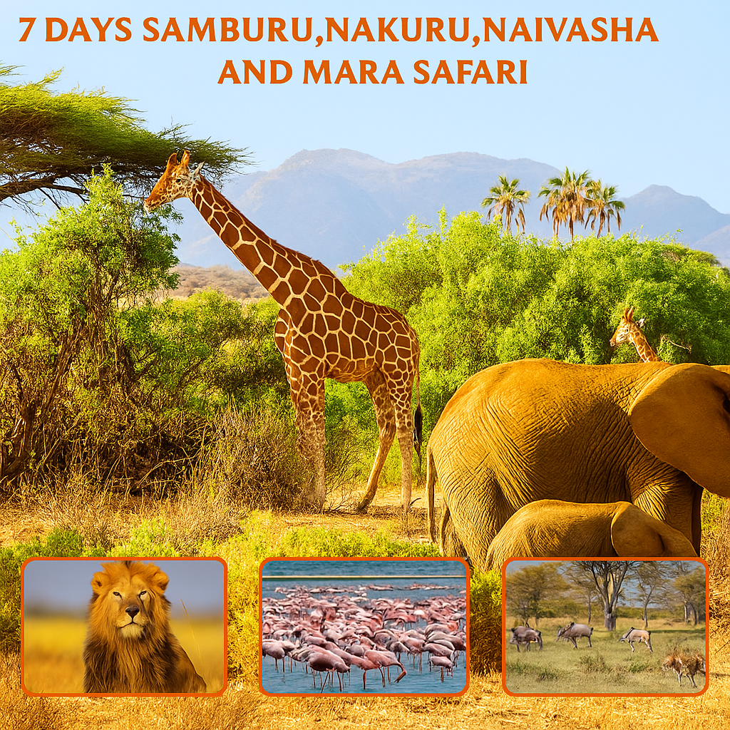 7-Day Samburu, Lake Nakuru, Masai Mara, and Lake Naivasha Safari