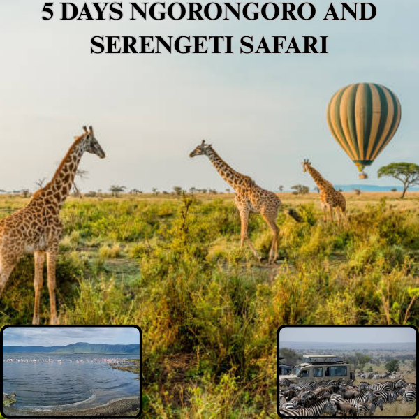 5-Day Serengeti, Ngorongoro, and Arusha Safari - Starting from Isebania