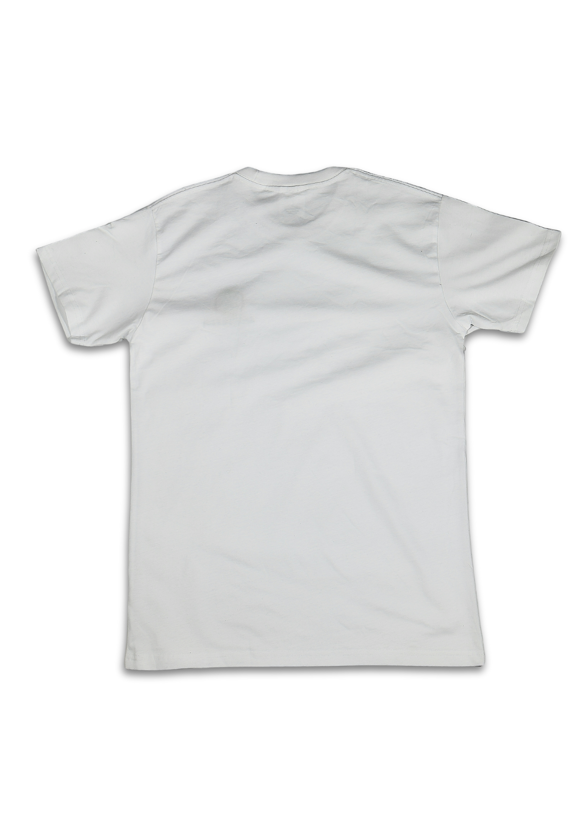 Ancestors Tee  - White V2