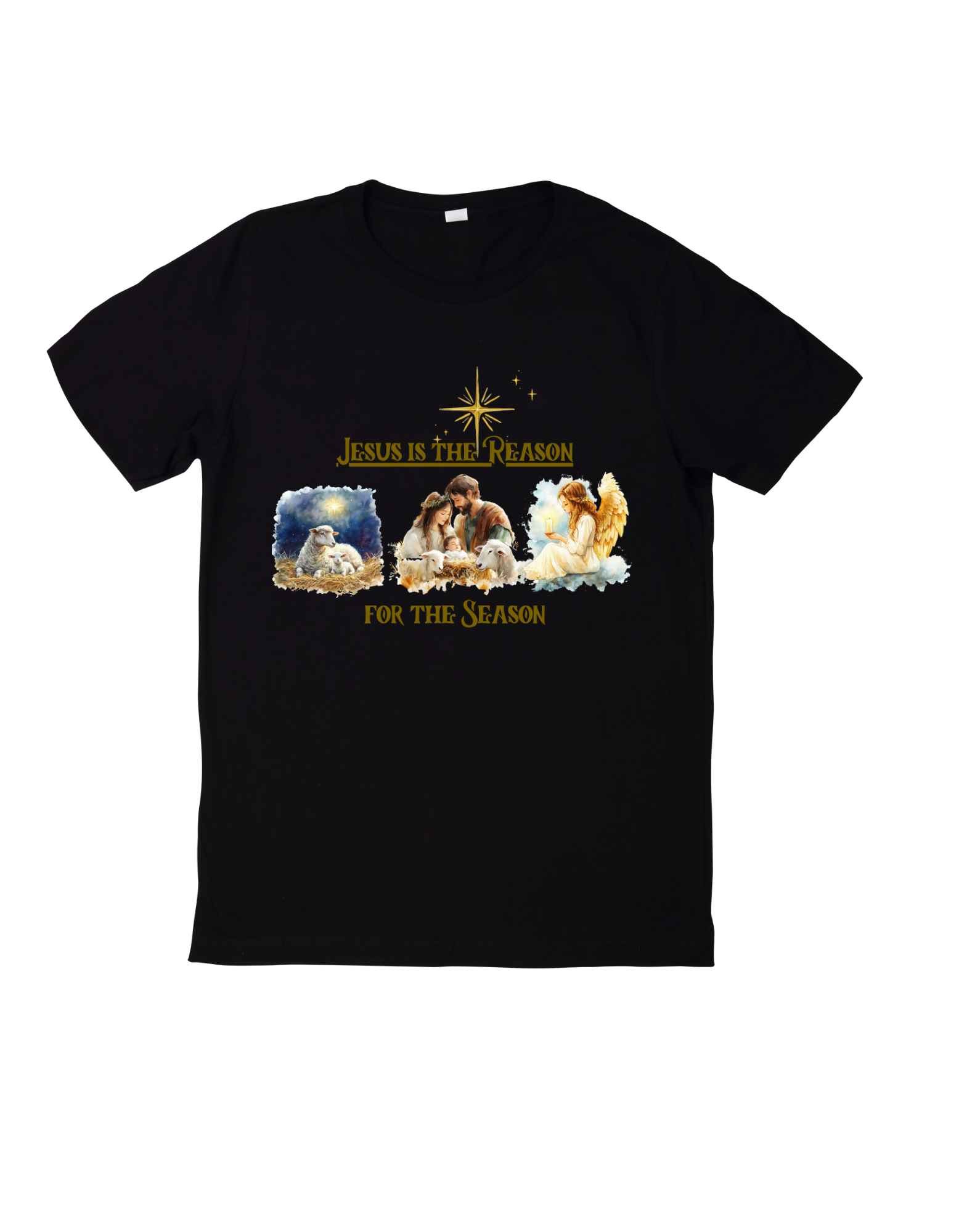 Jesus Is The Reason For The Season T-Shirt