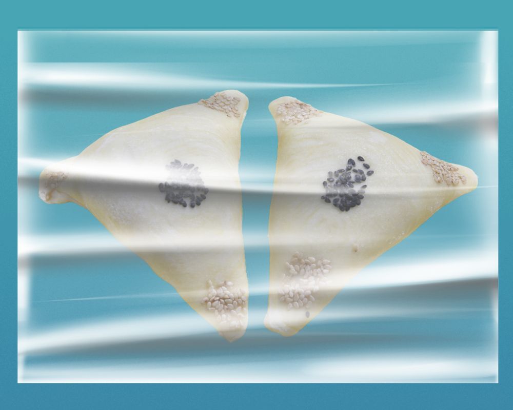 Frozen Oven Samsa (5 pcs)