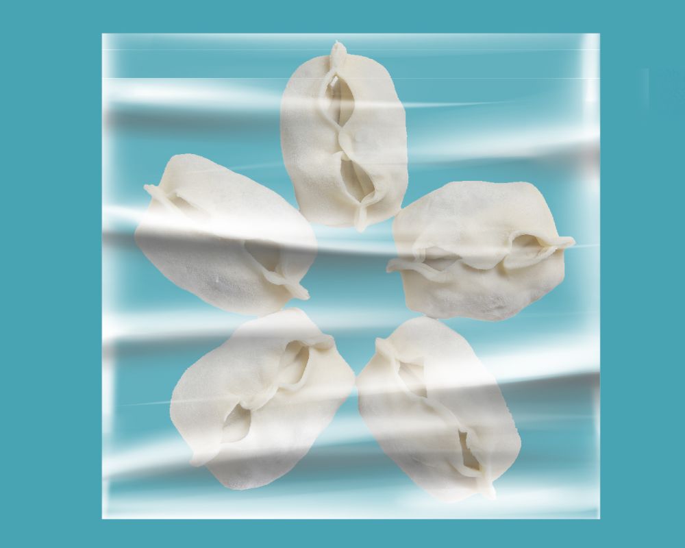 Frozen Manti / Dumplings (5 pcs)
