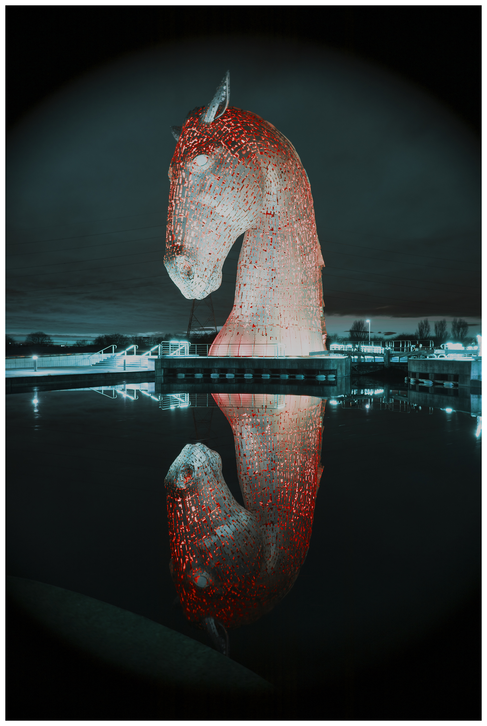 Red Duke Reflection