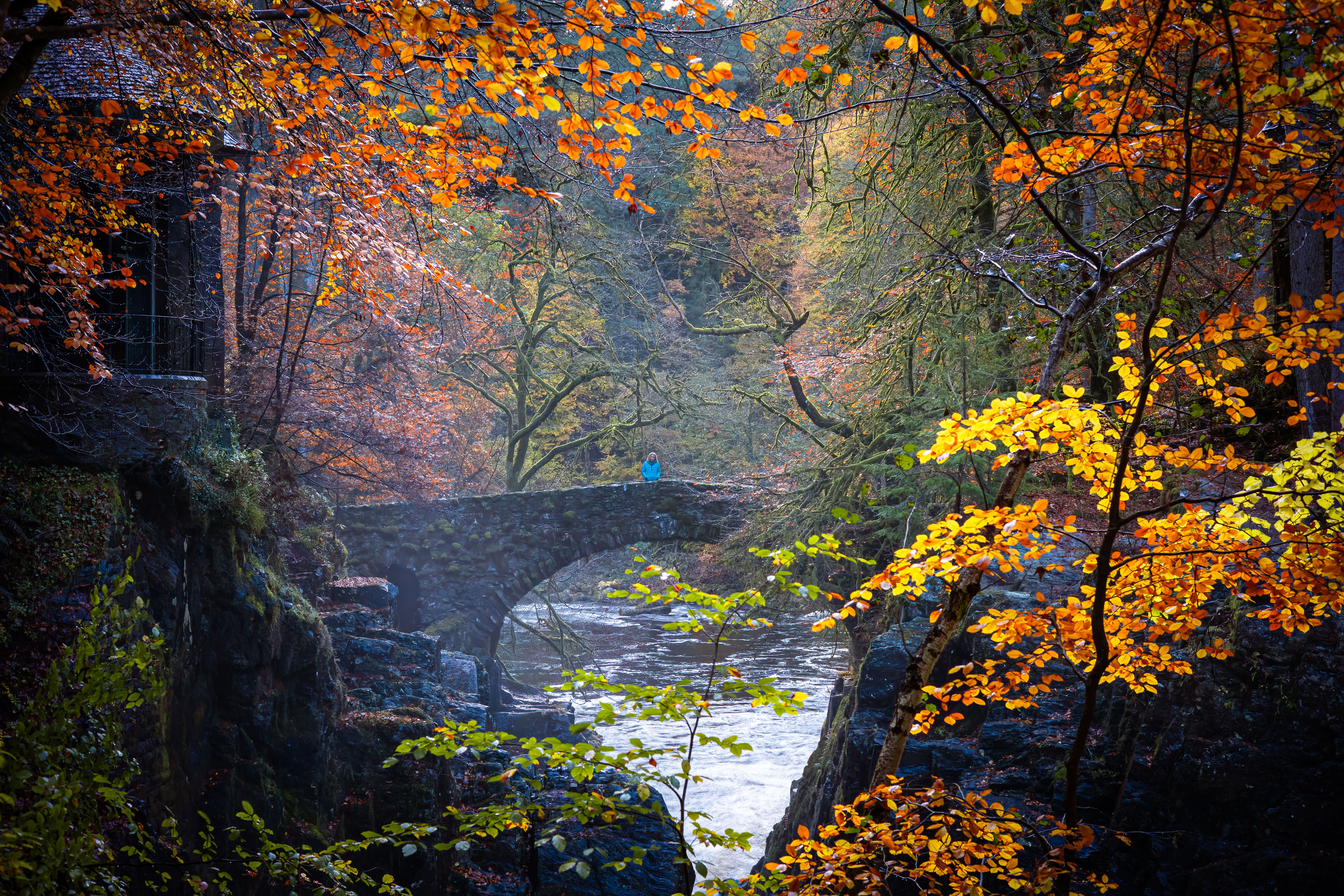 Autumn at The Hermitage