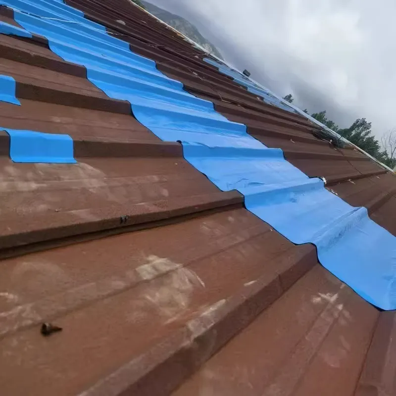 Waterproof Protective Mat