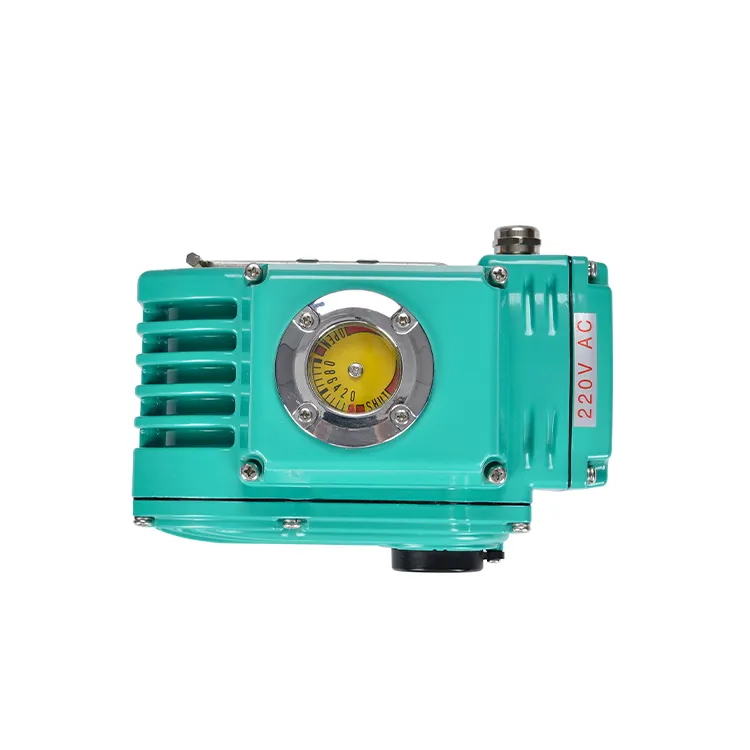 Electric Valve Actuator