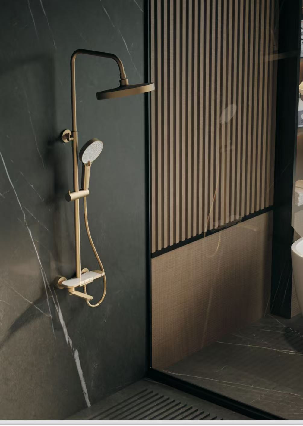 Elegant Shower System