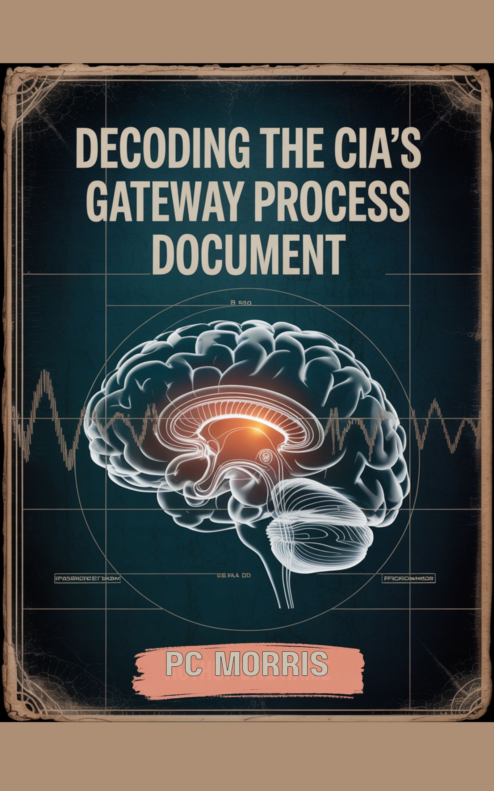 Decoding the CIA's Gateway Process Document