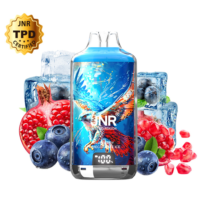 Puff Falcon-X Plus 28K Blueberry Pomegranate Ice 950mAh 22ml - JNR