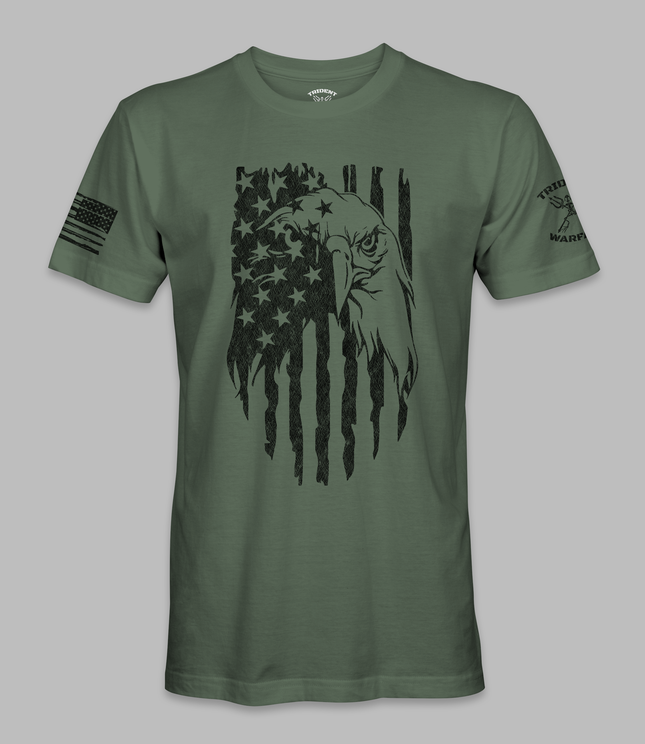 Patriotic Eagle