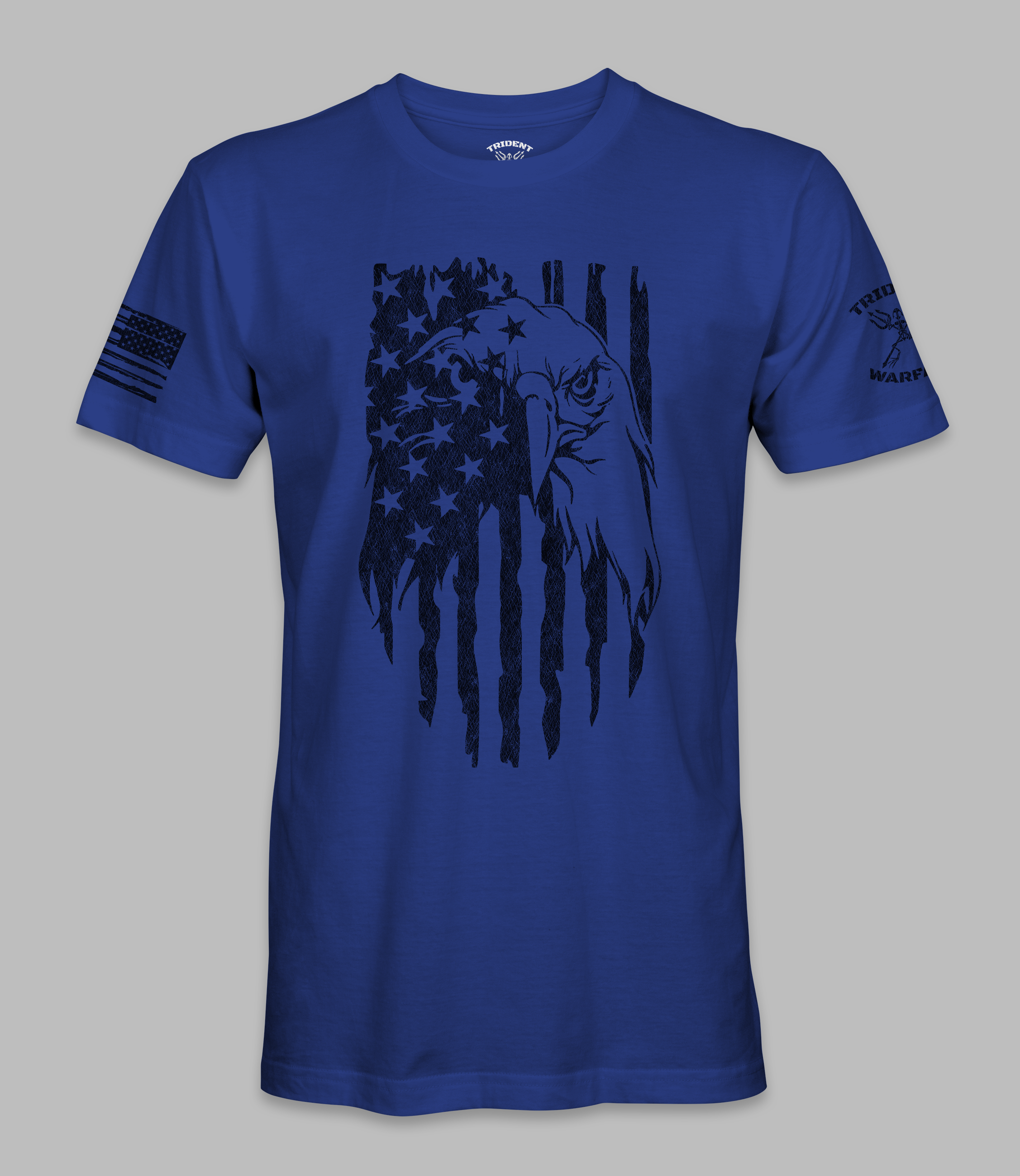 Patriotic Eagle