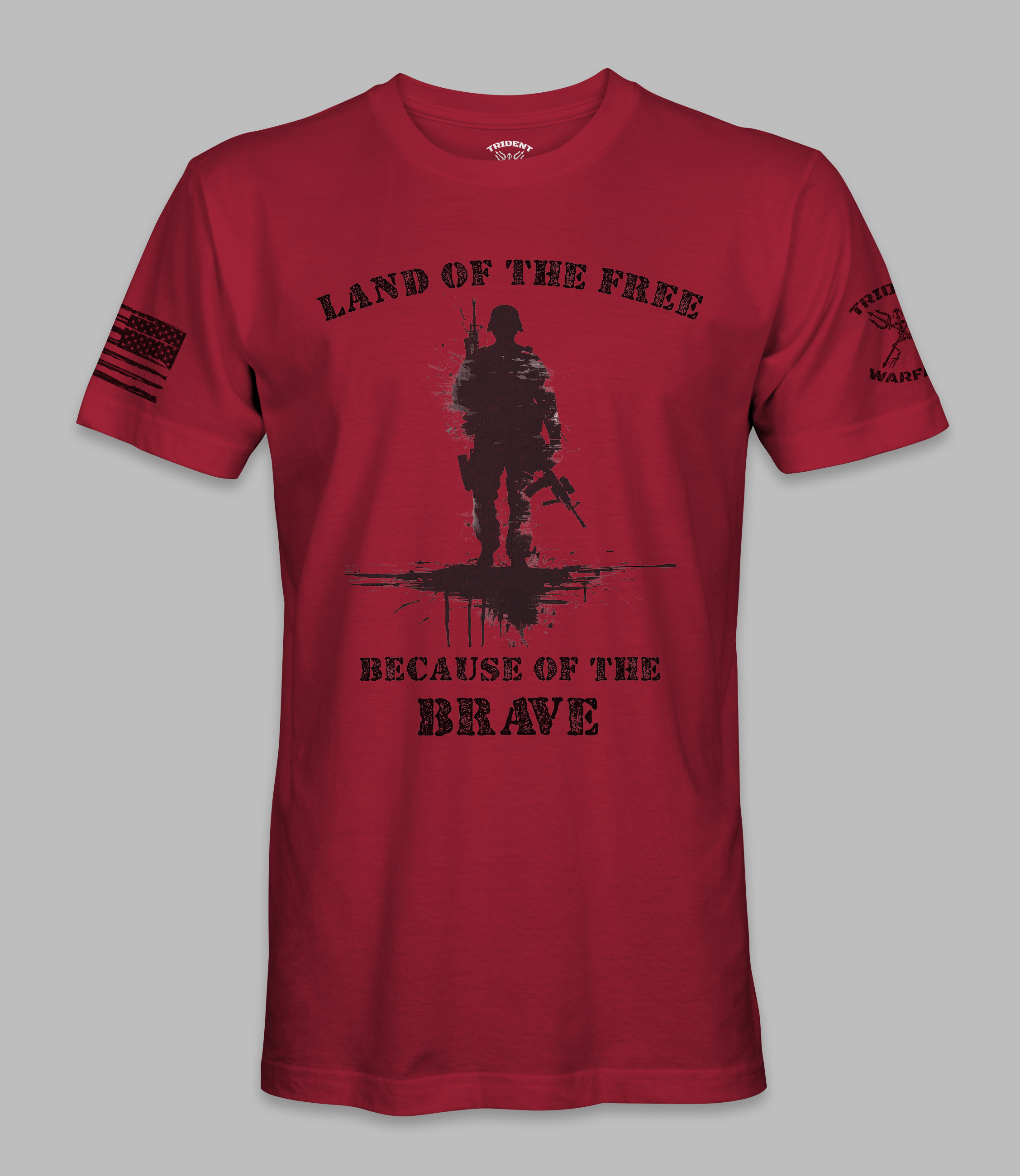 Land of the free because of the brave