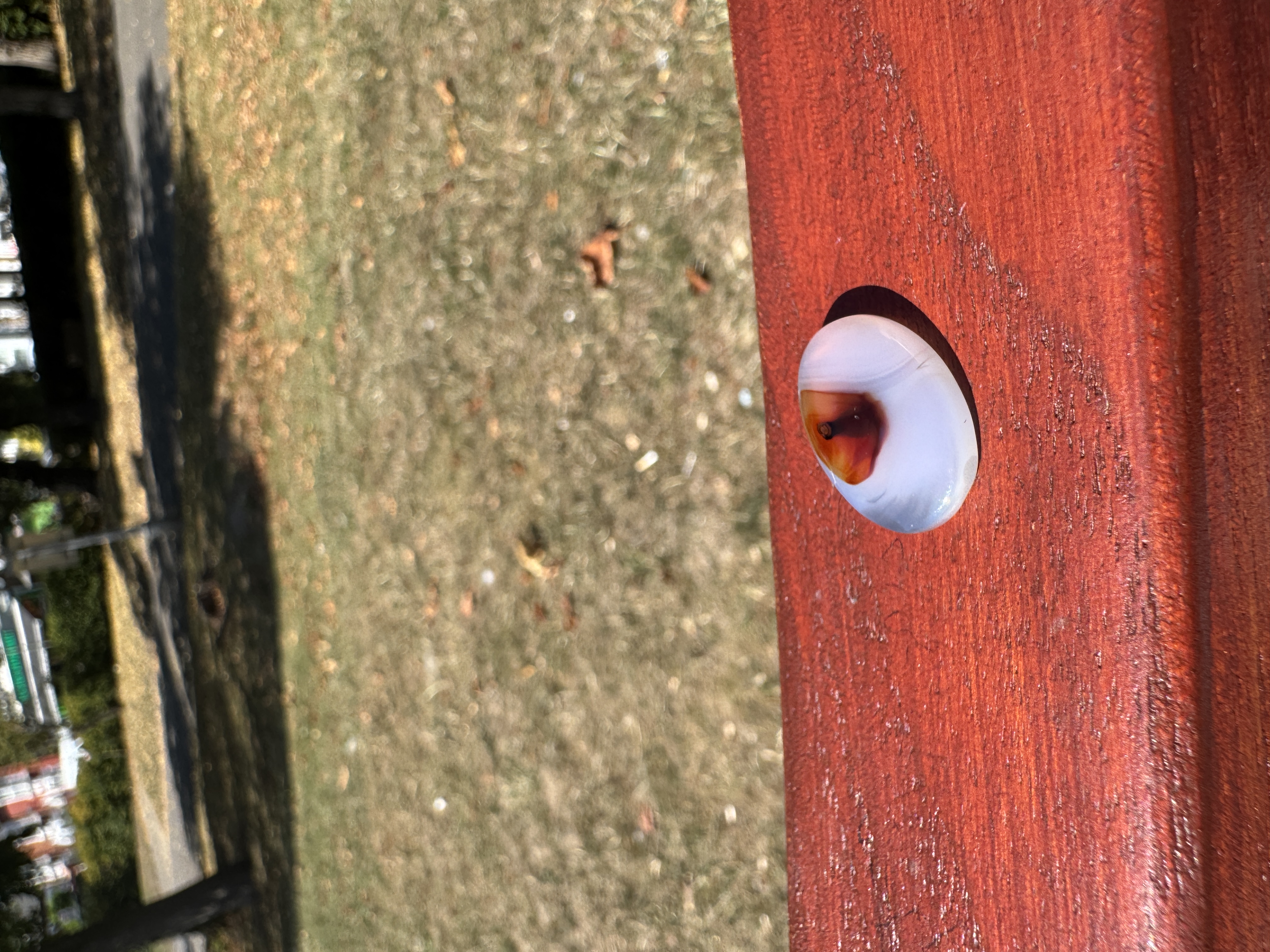 Magic Flower Aqeeq Stone