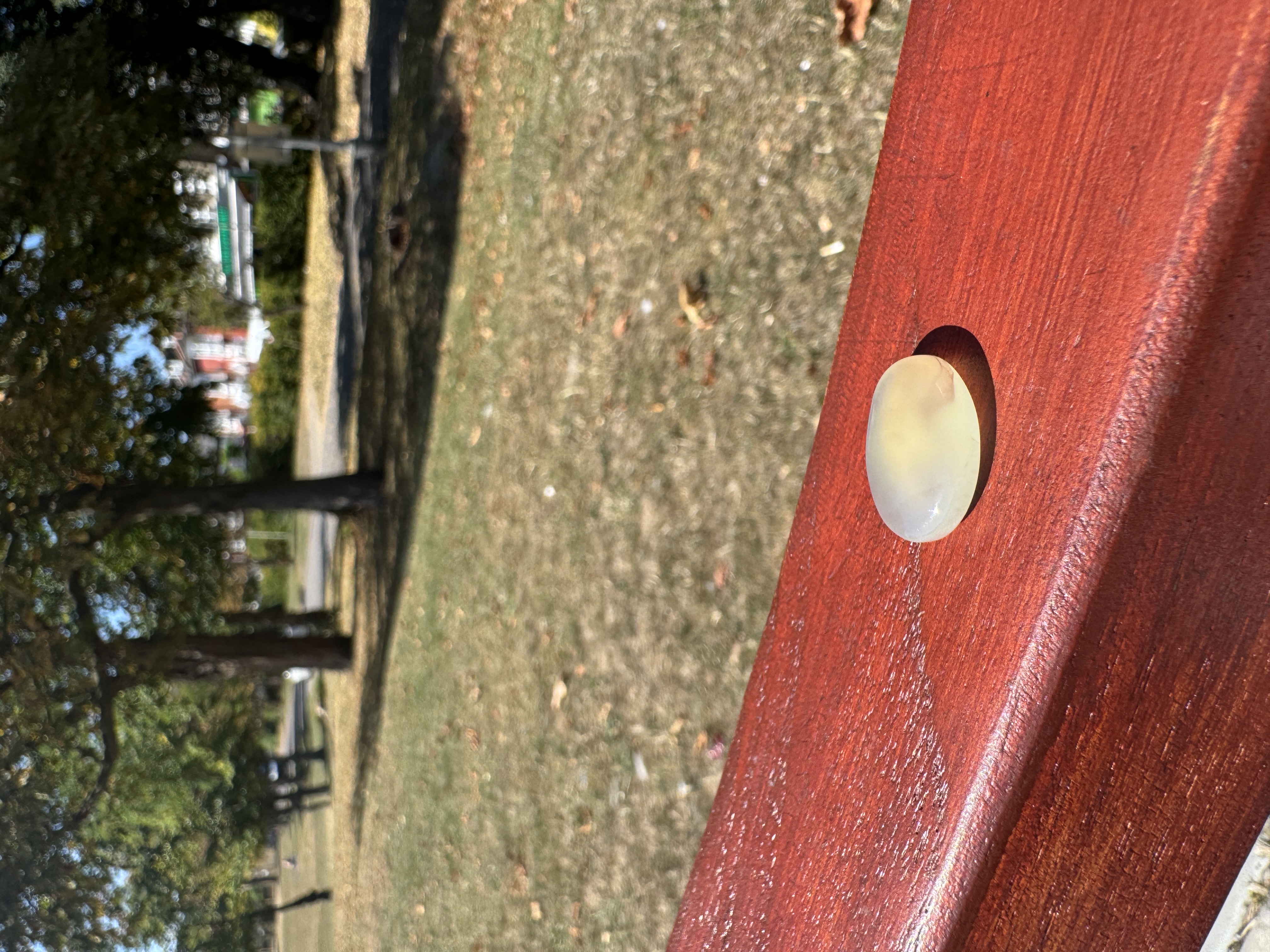 Clear  Coloured Aqeeq Stone