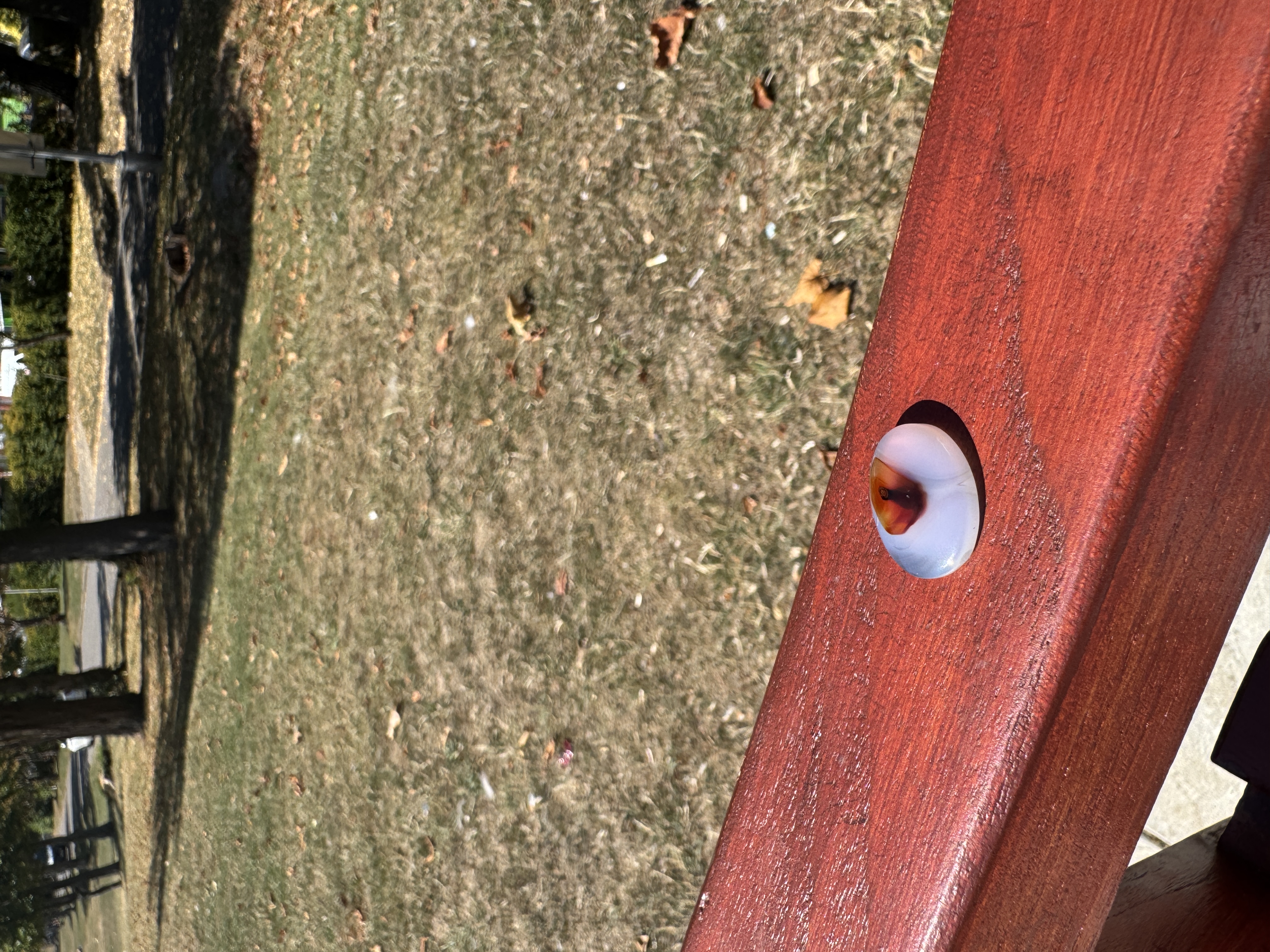 Magic Flower Aqeeq Stone