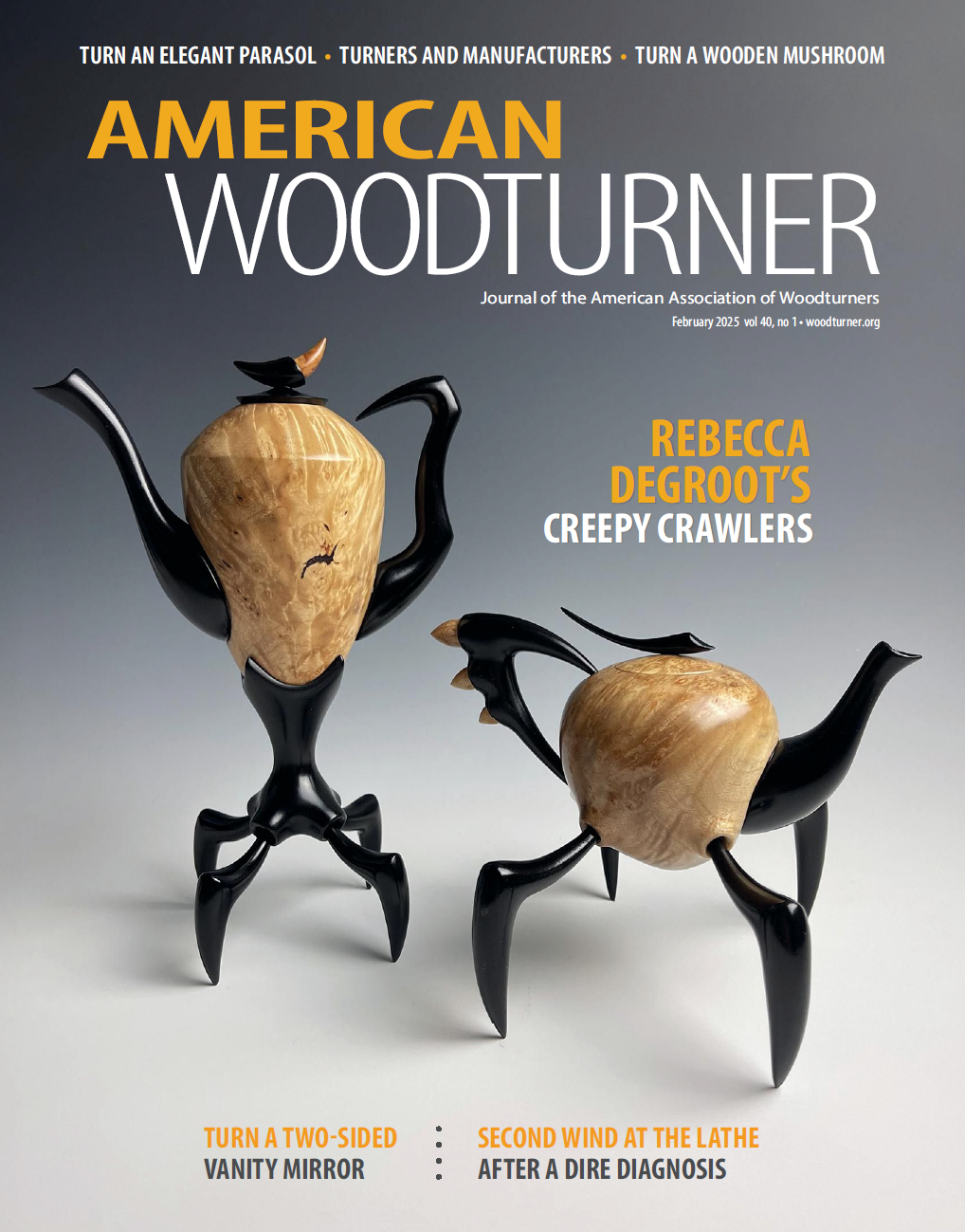 American Woodturner – January / February 2025