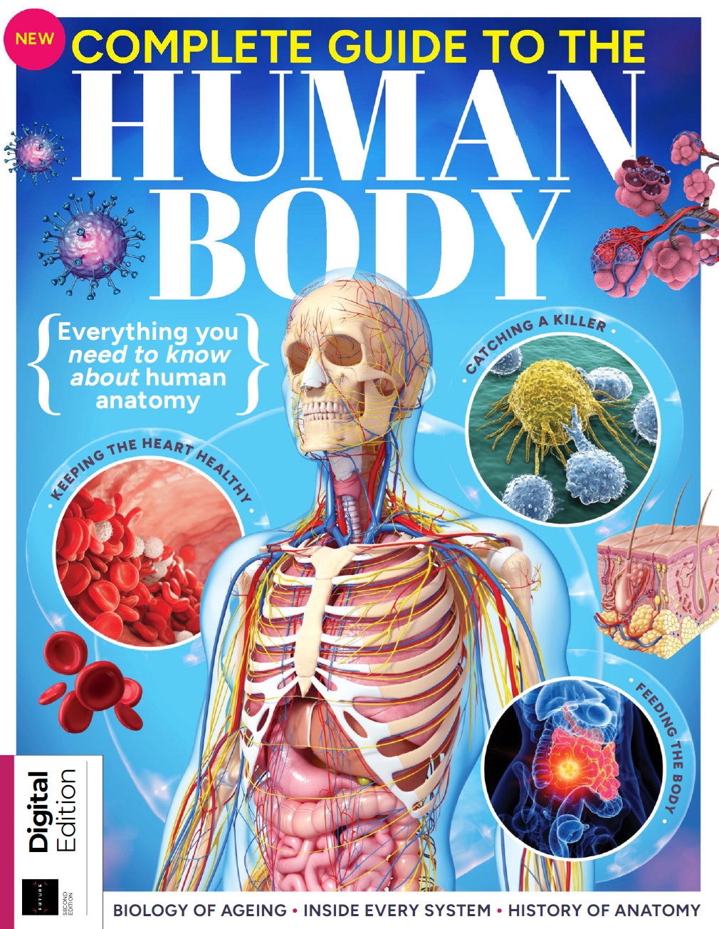 Complete Guide To The Human Body – 2nd Edition 2024