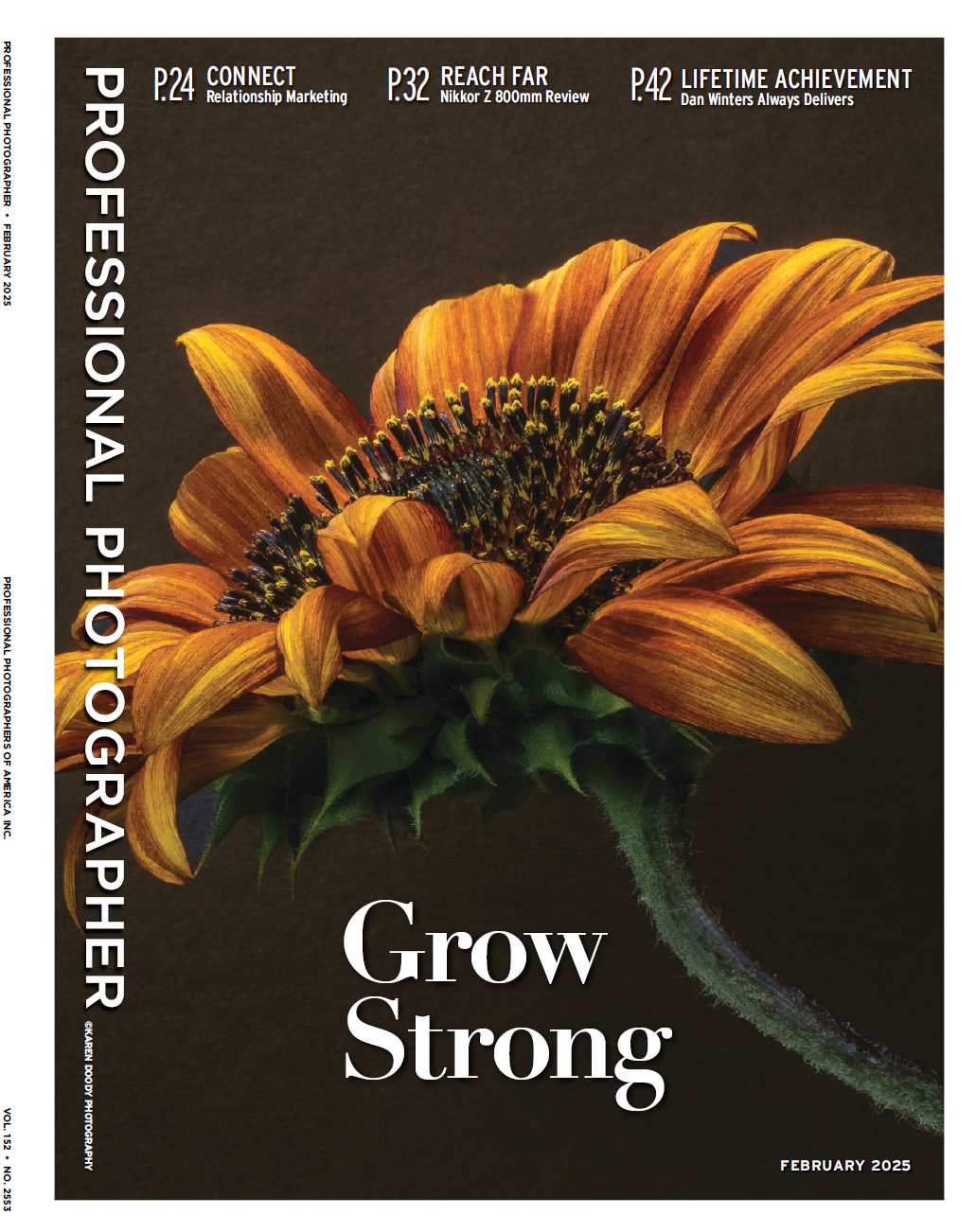 Professional Photographer – February 2025