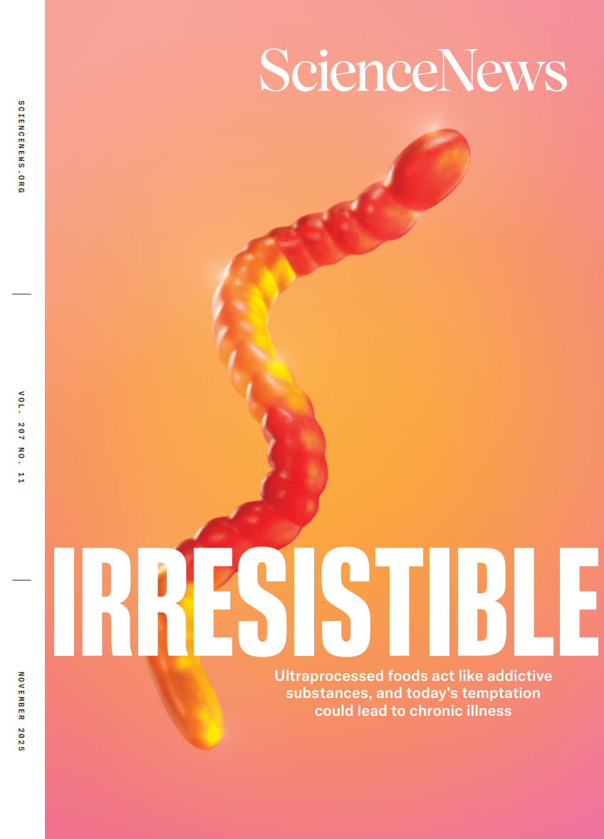 Science News – November 2025