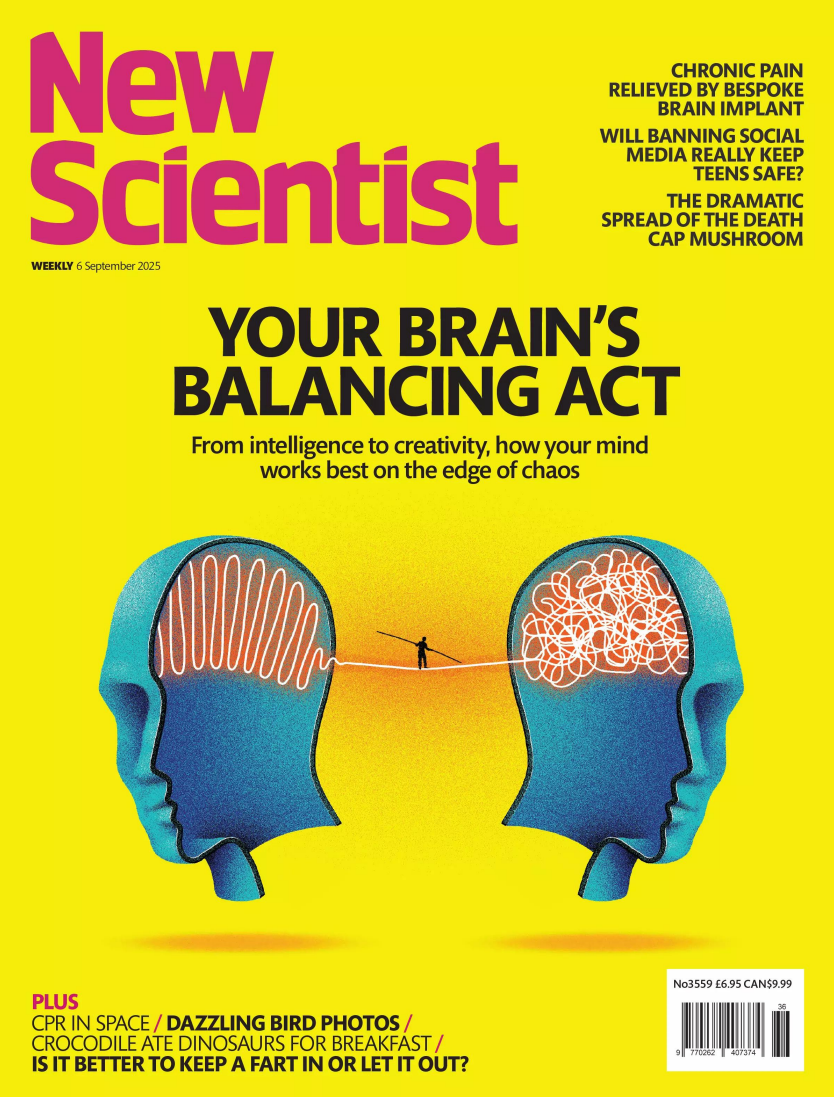 New Scientist International Edition – 6 September 2025