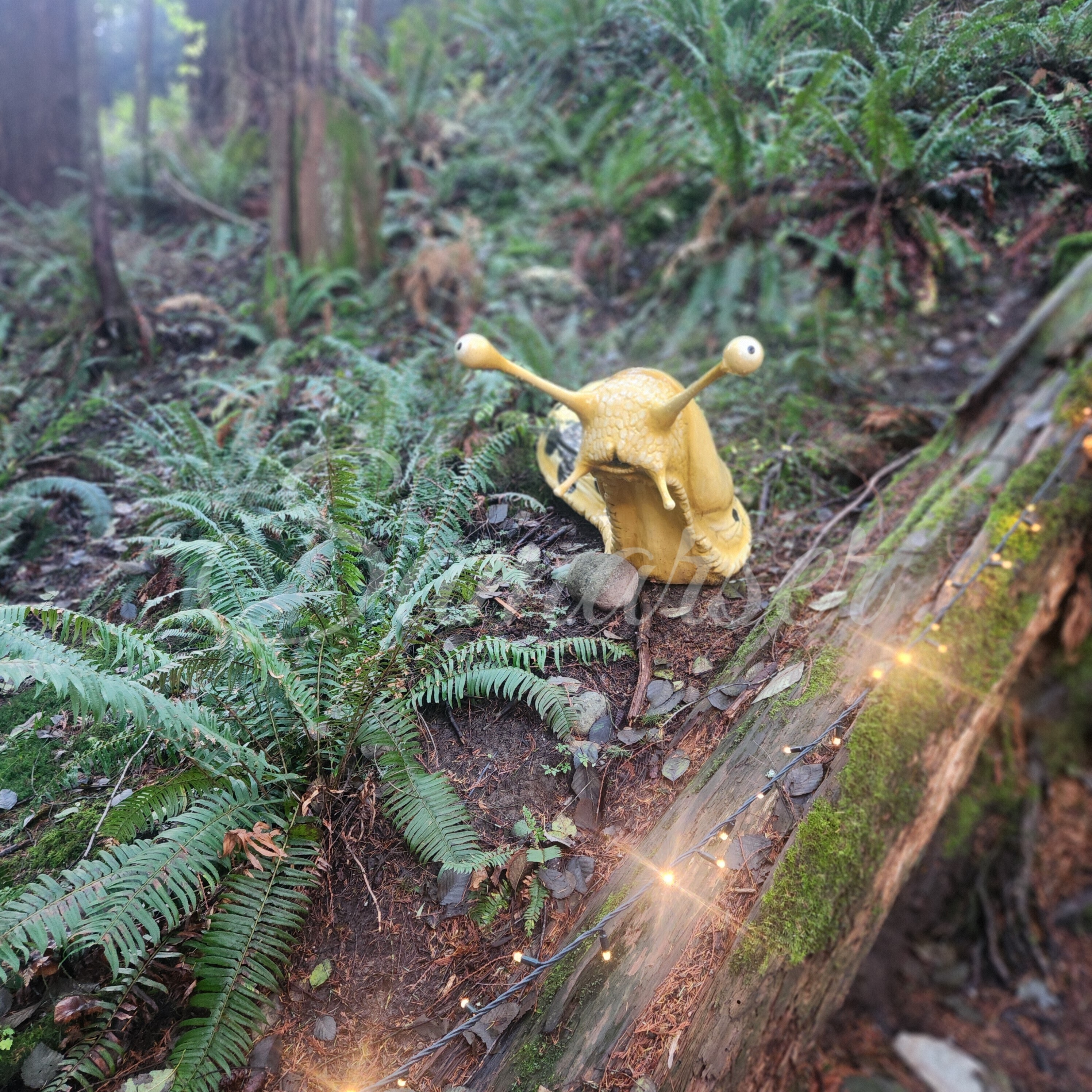 Forest Creatures Trio