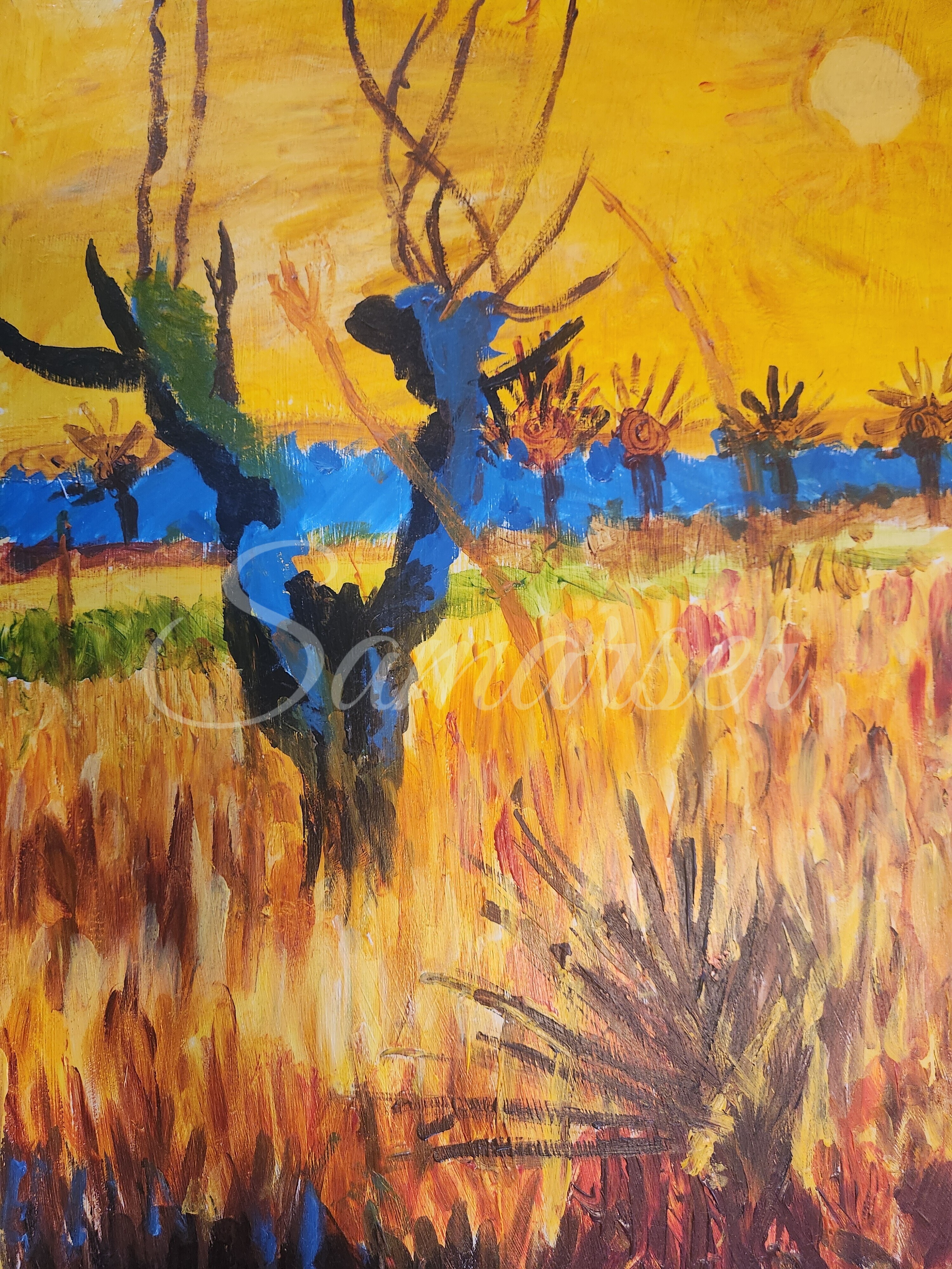 Cactus in the Desert Sun