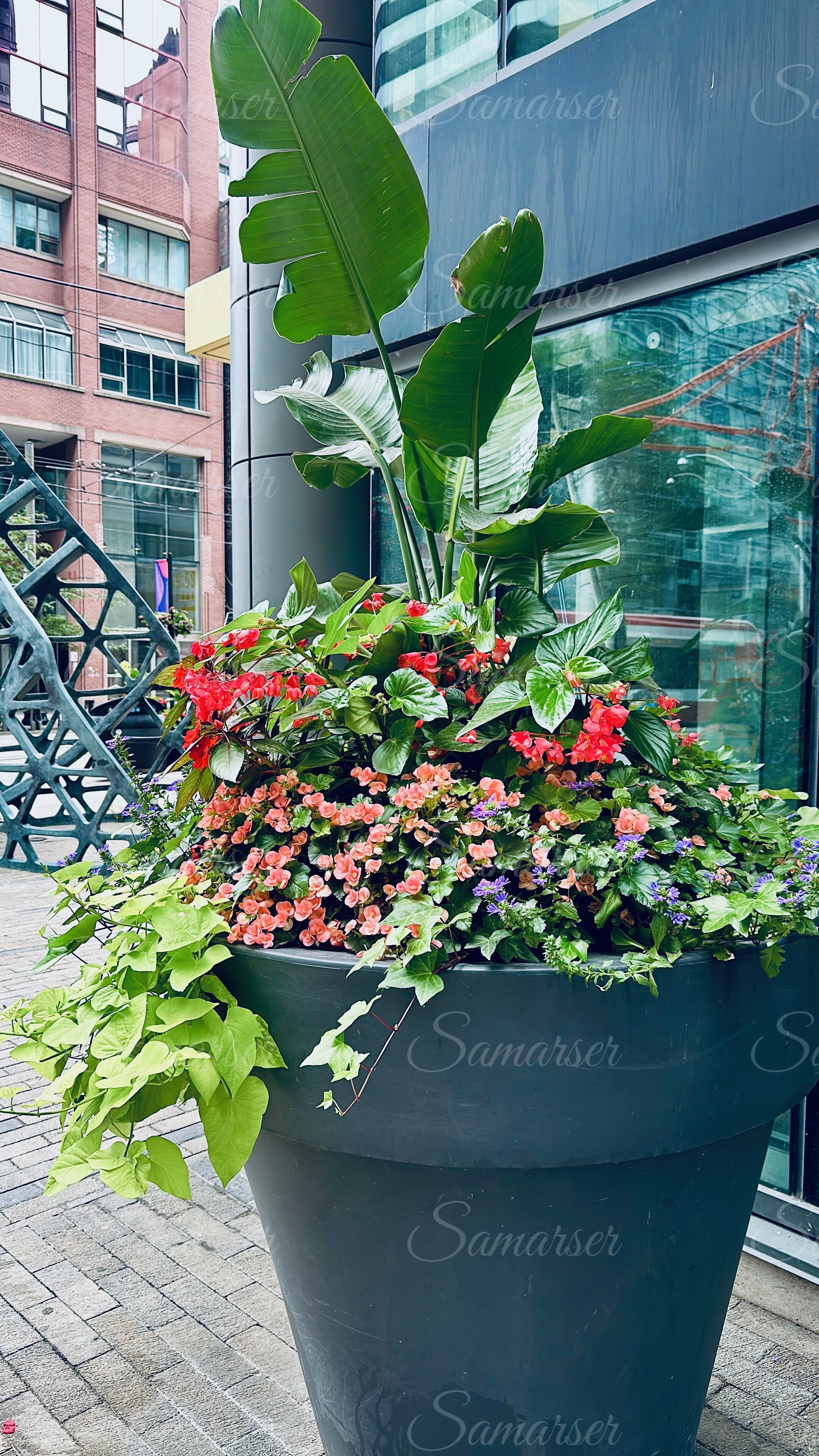 Large Decorative Planter Pot