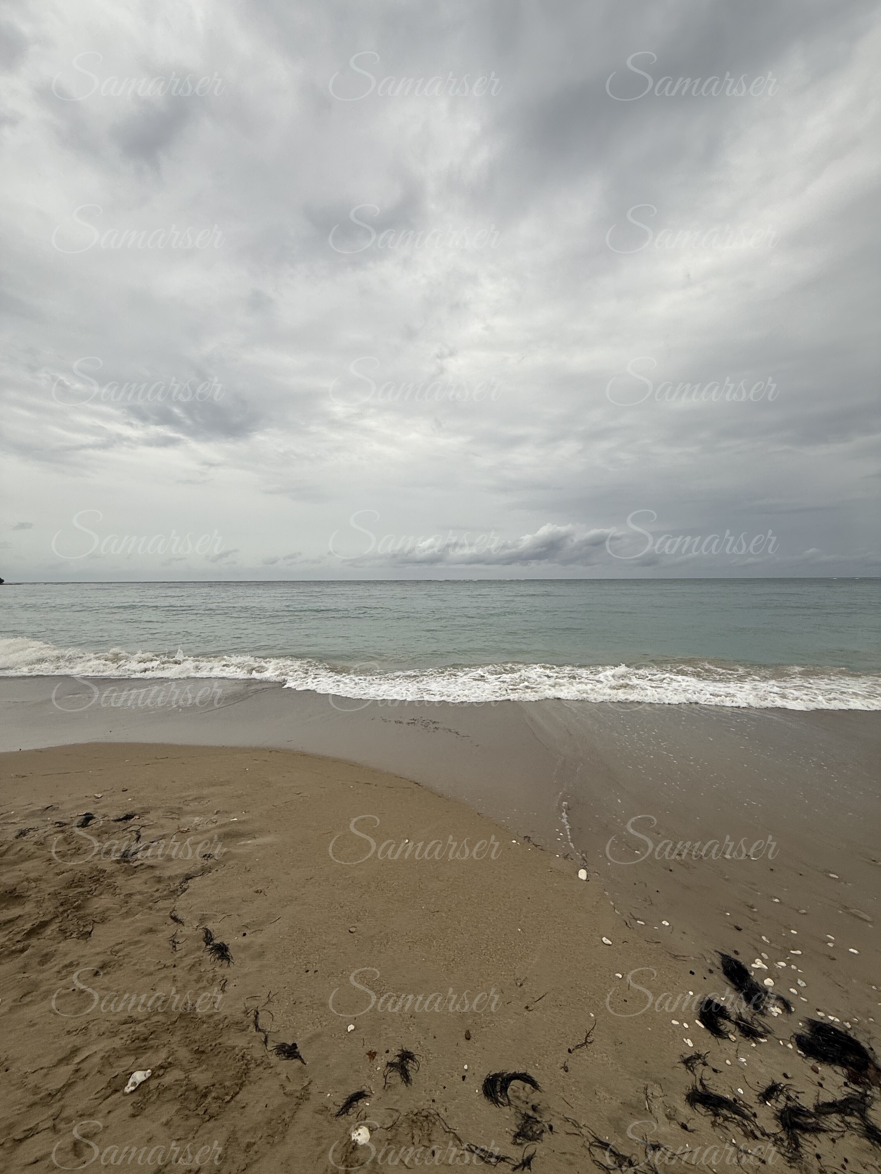 Seaside Coastal Landscape
