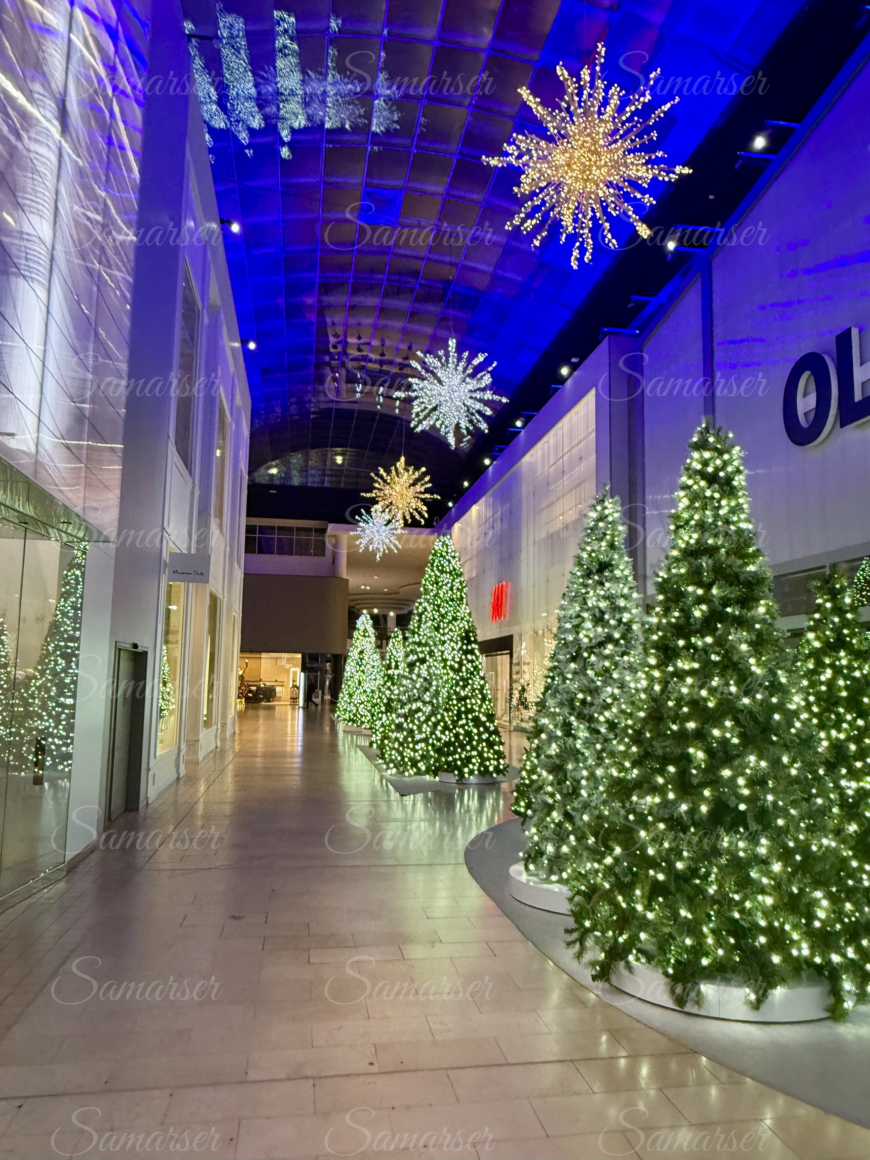 Decorative Mall Christmas Trees