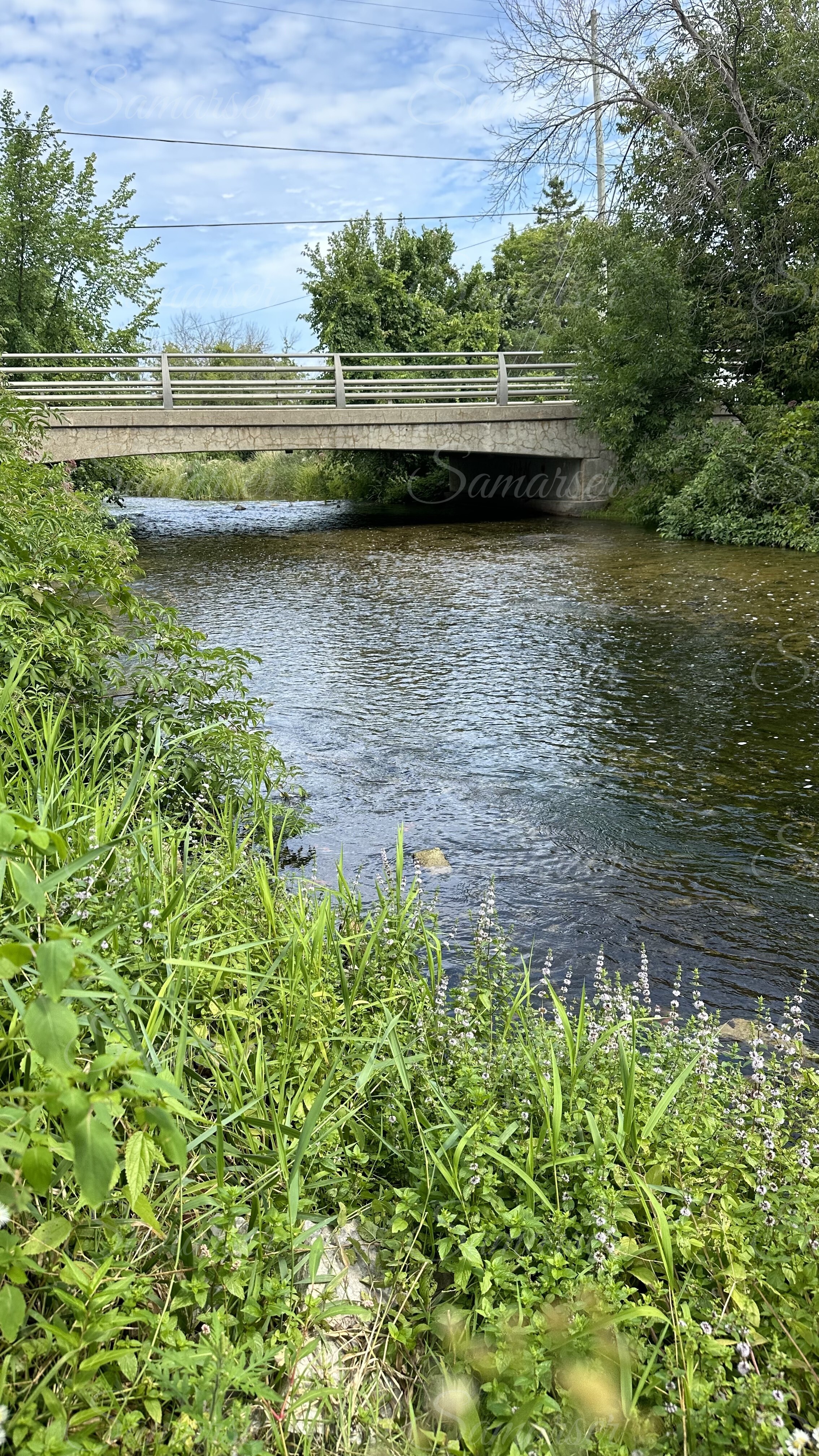 Scenic Stream Bridge