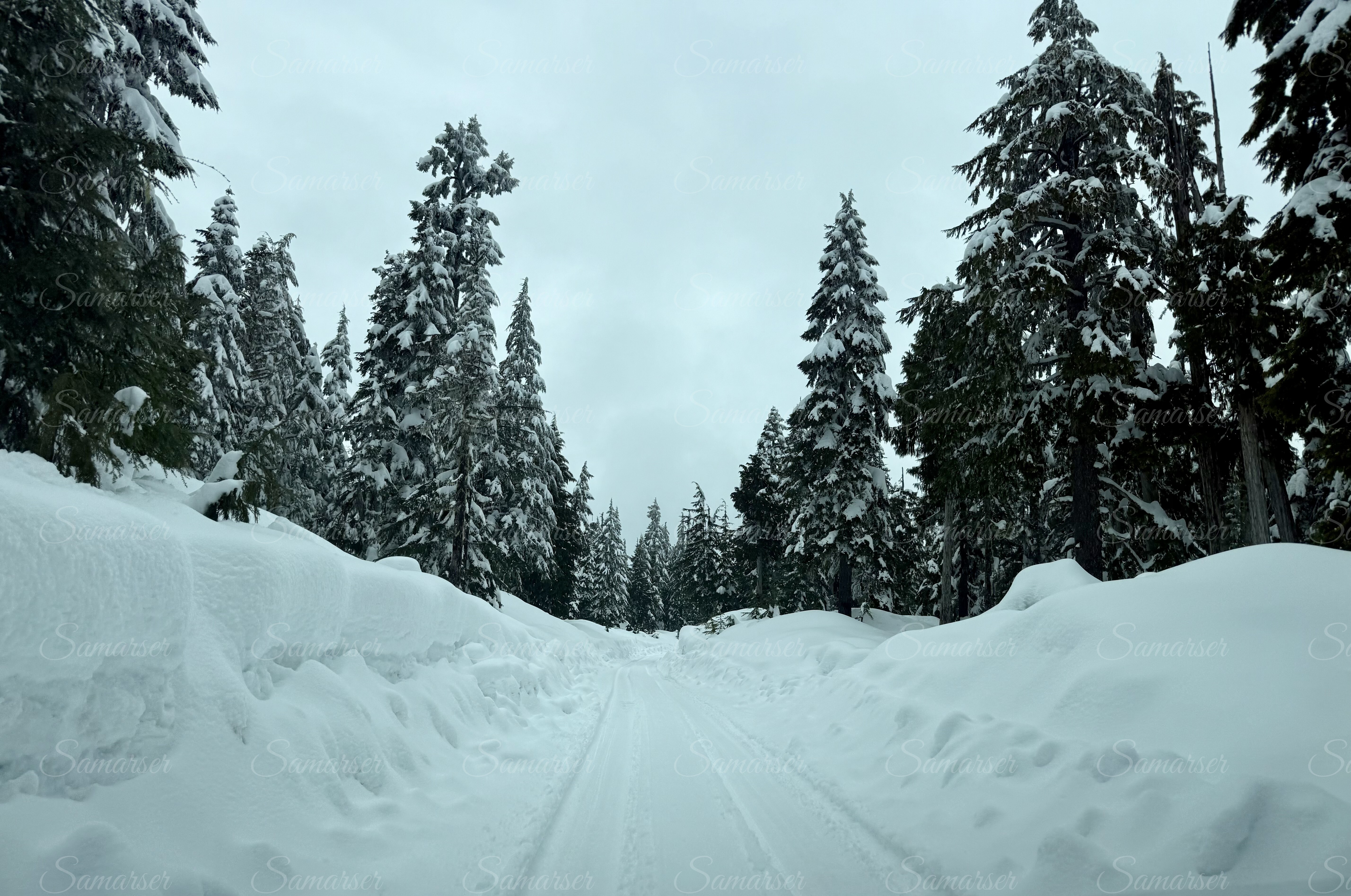 Snow Road