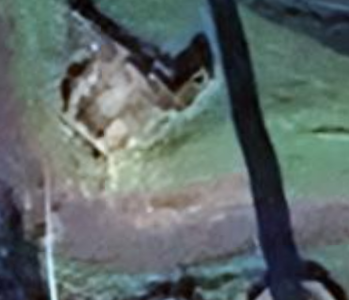 large war bunker-Noord-Brabant