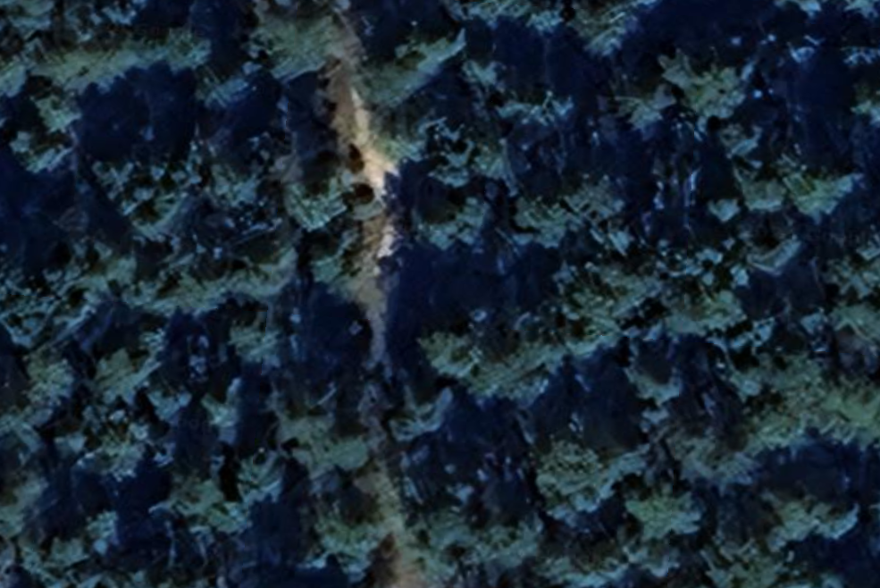 ww2German commando post-gelderland