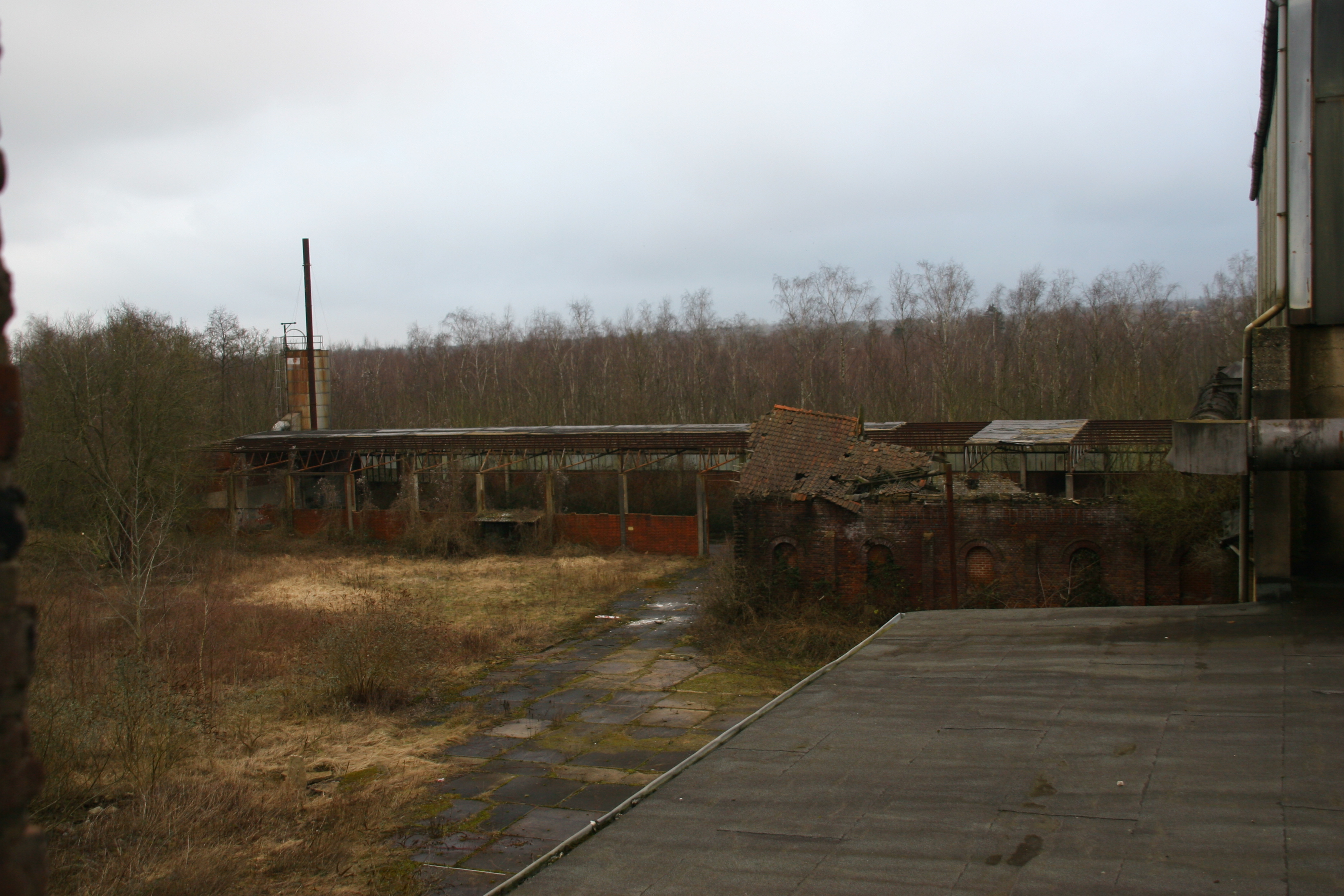 abandoned factory