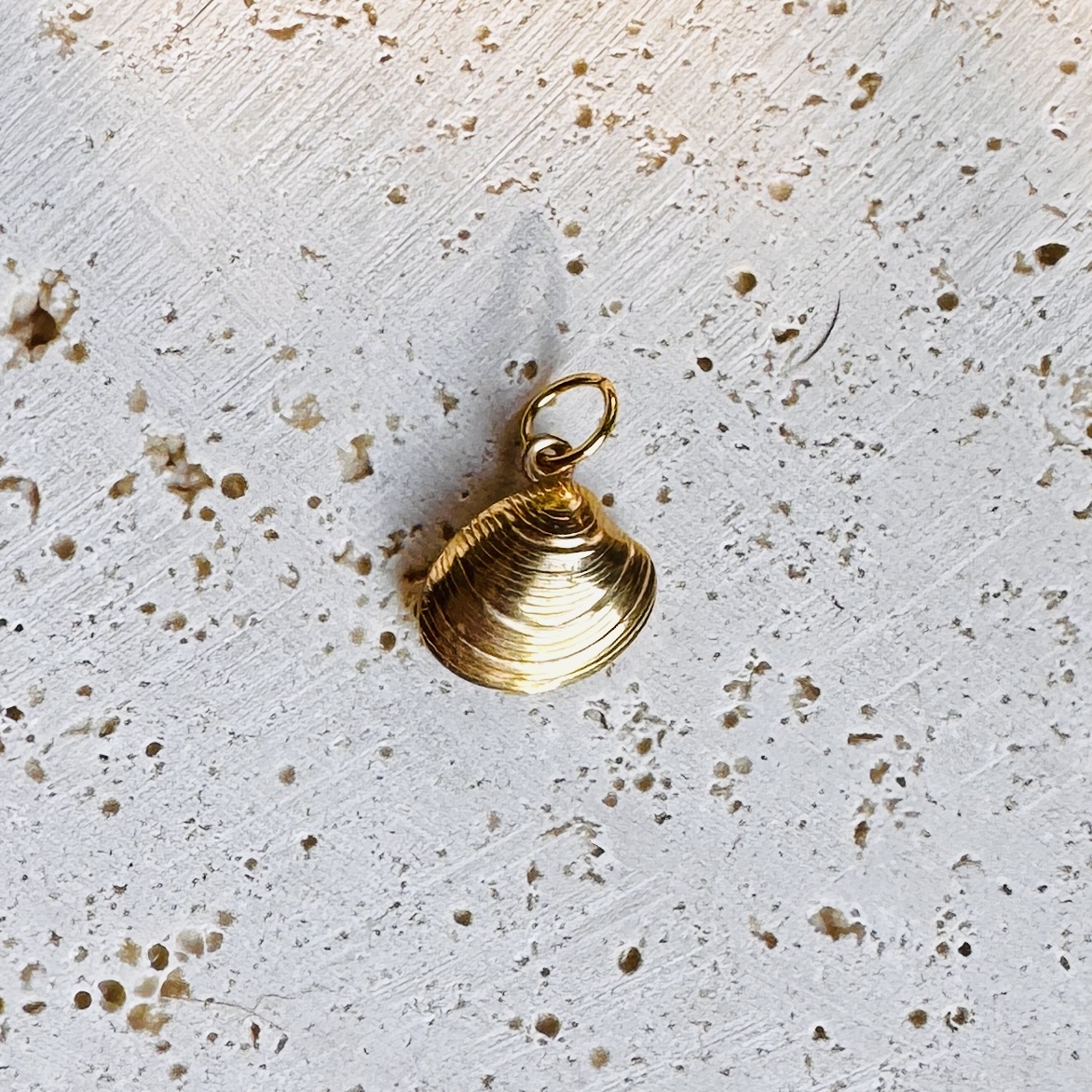 Muschel Charm