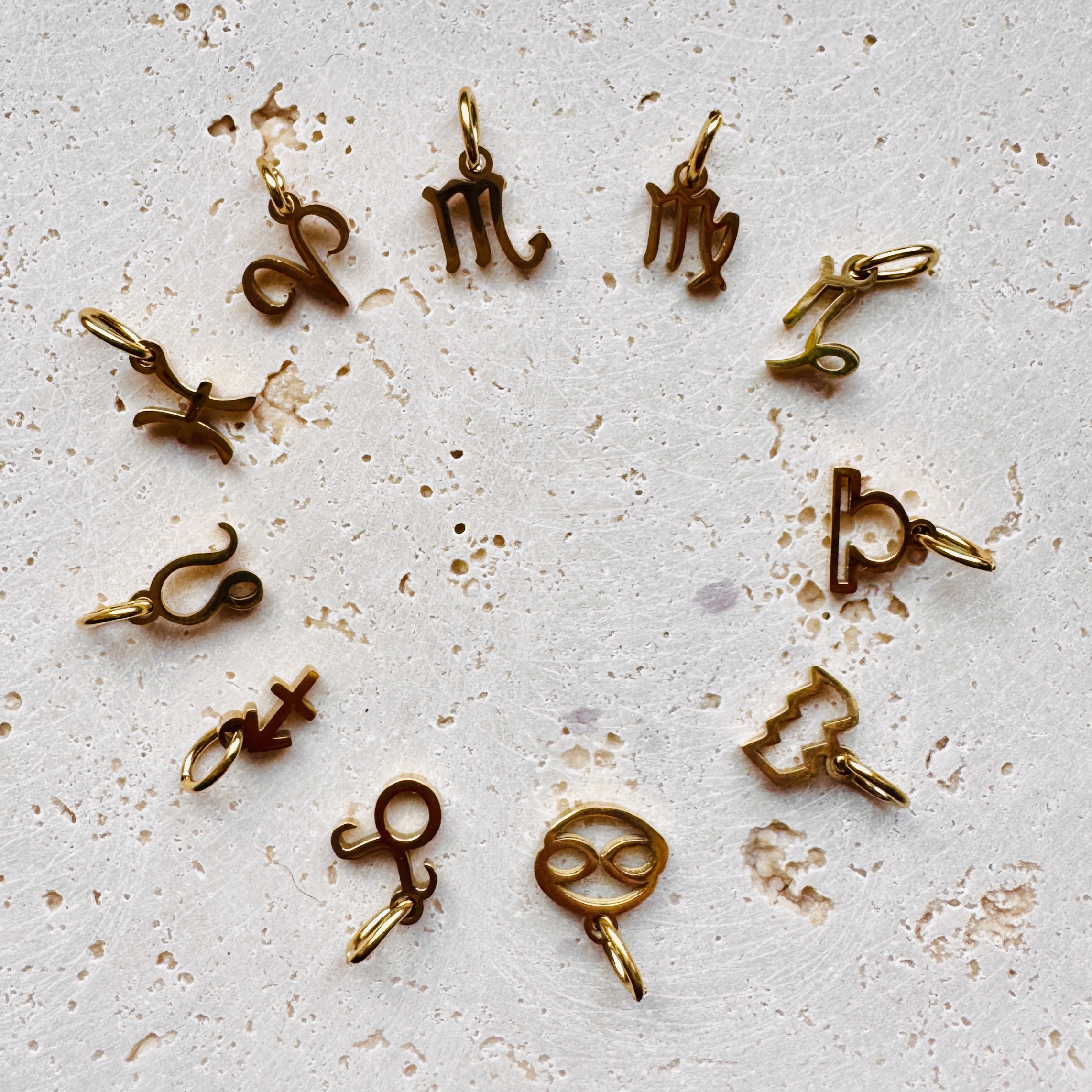 Zodiac Charm