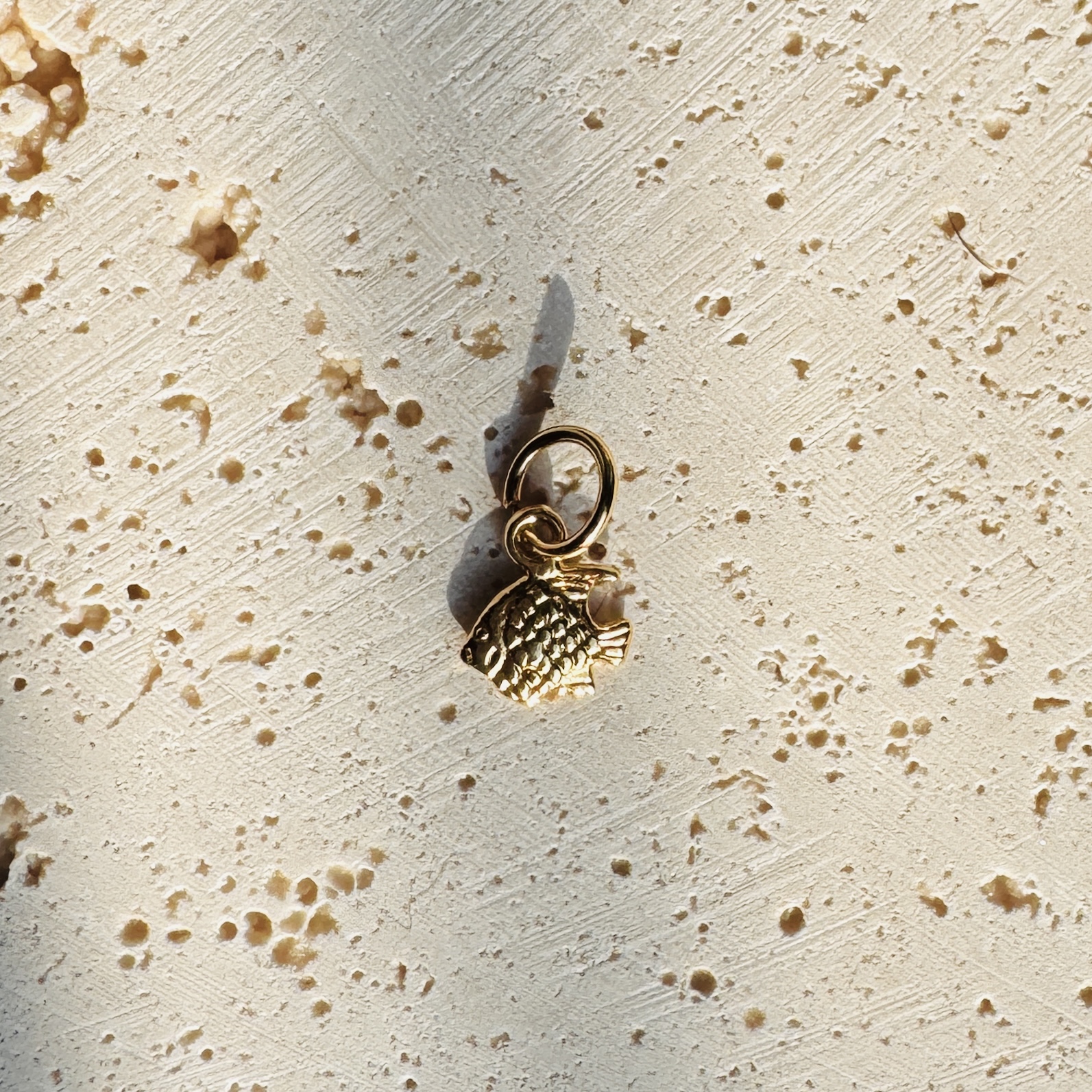 Fishi Charm