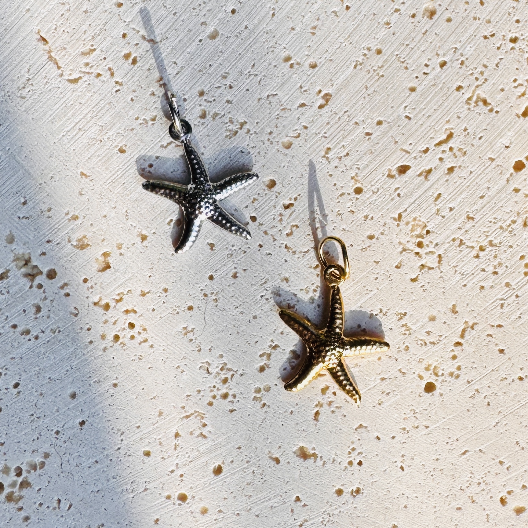 Seestern Charm
