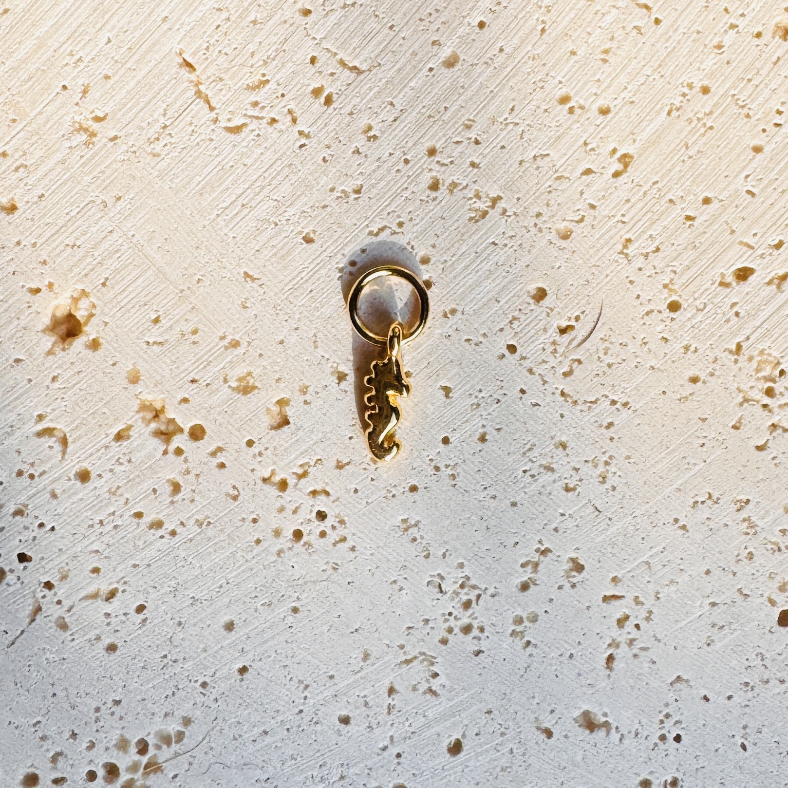 Seepferdchen Charm