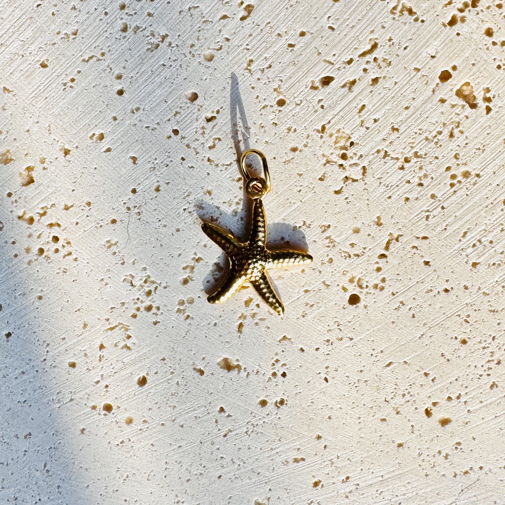 Seestern Charm