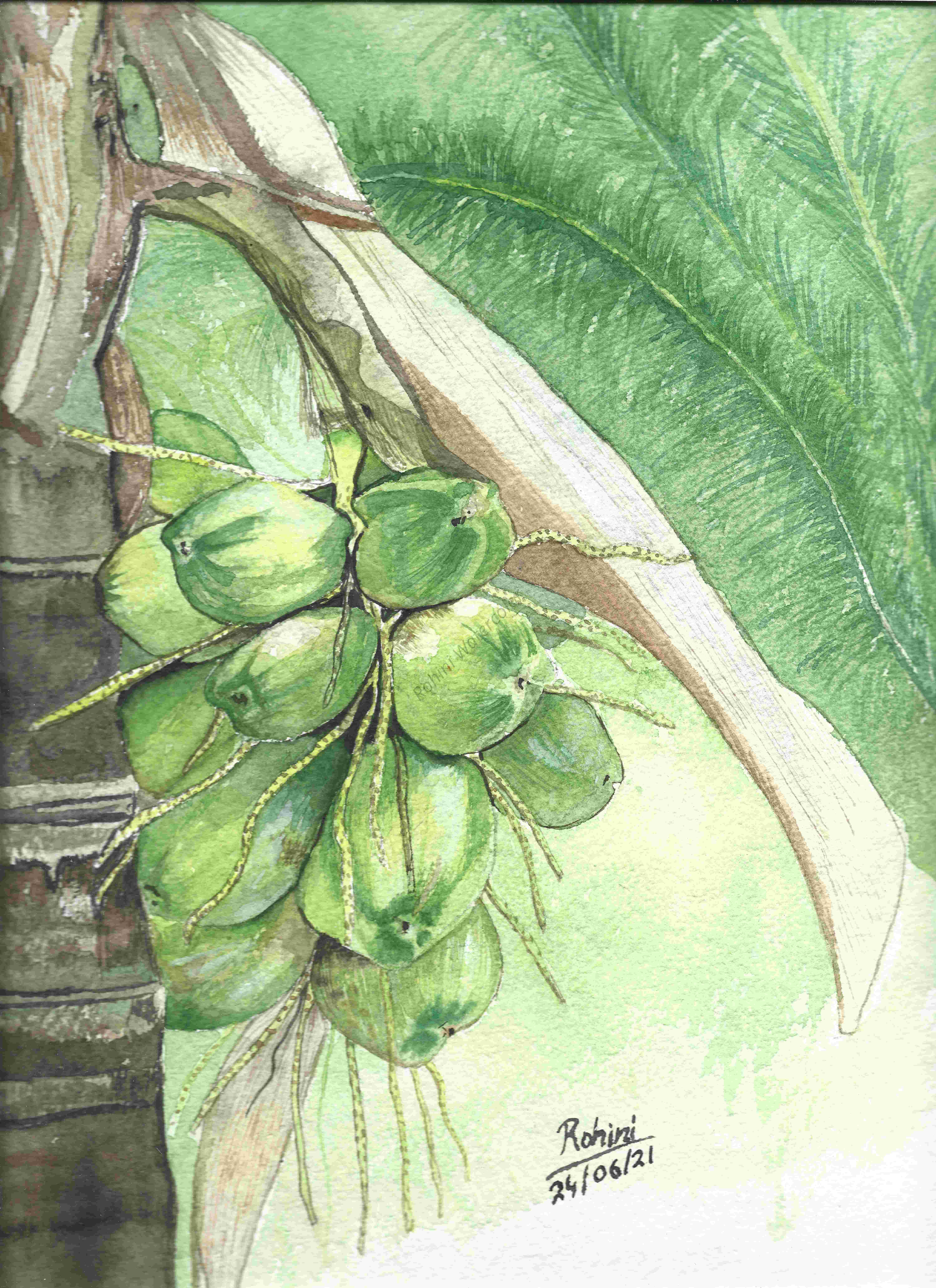 Coconut Tree Painting