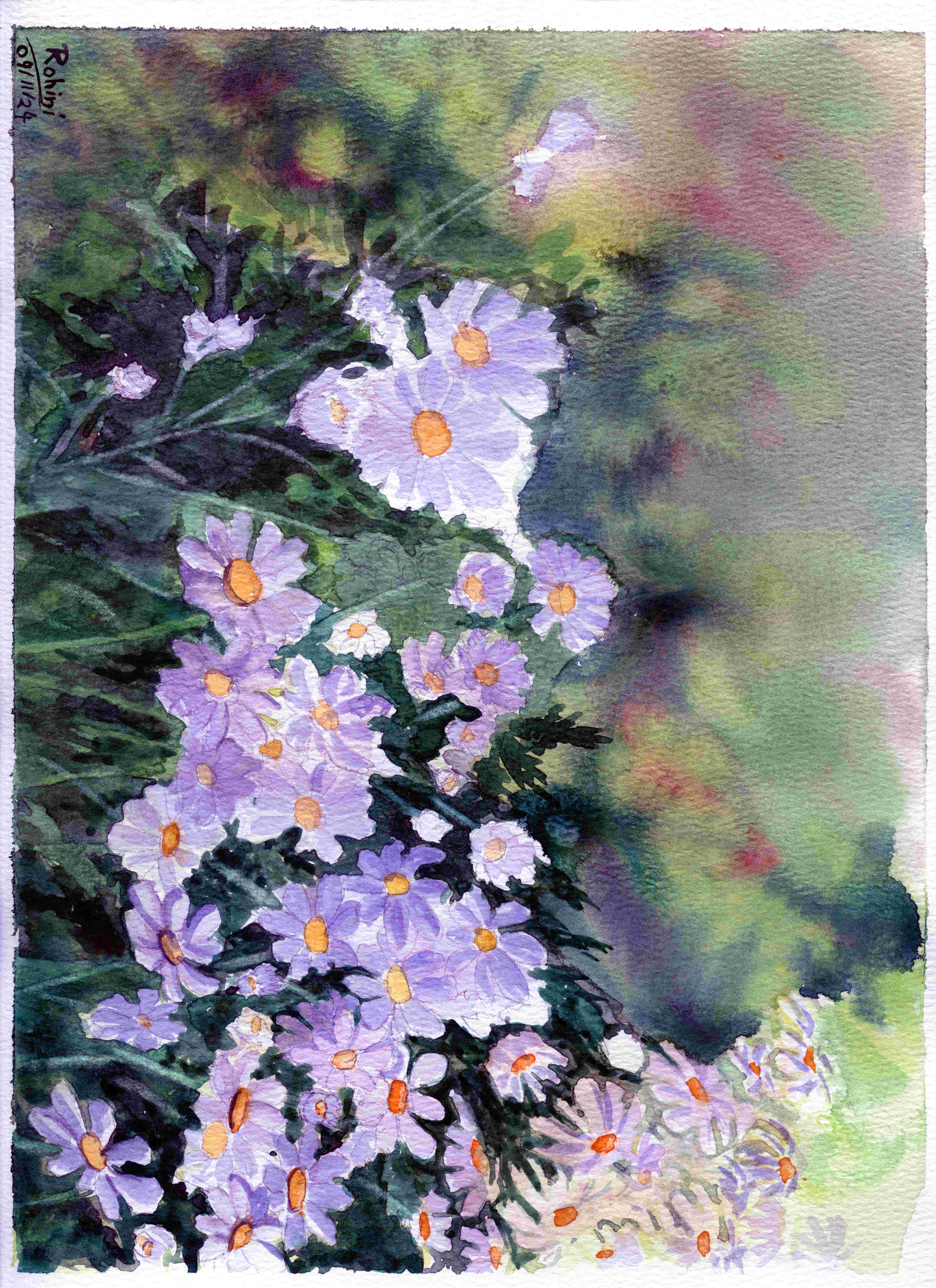Blossoms in Bloom