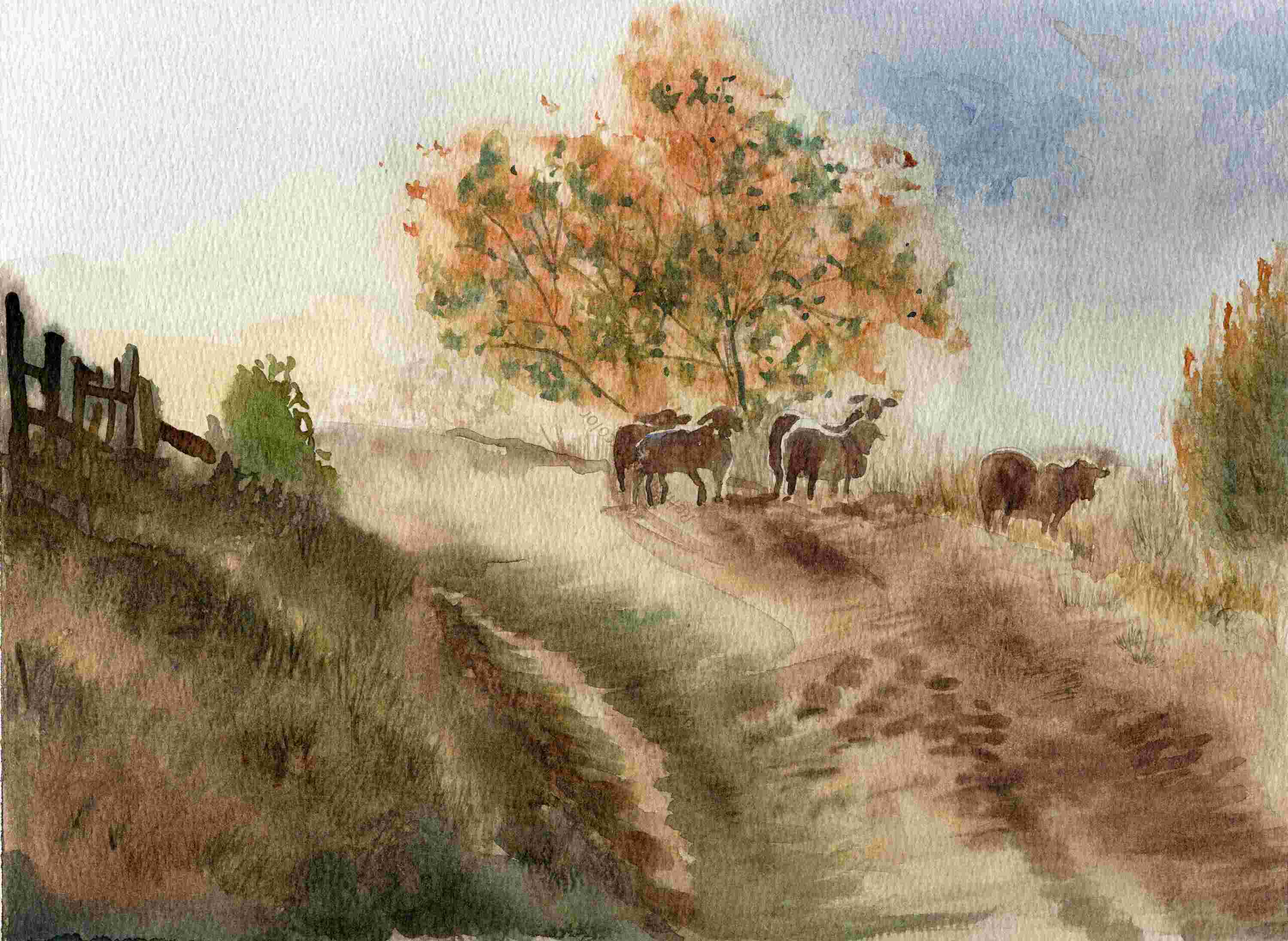 Tranquil Pathway