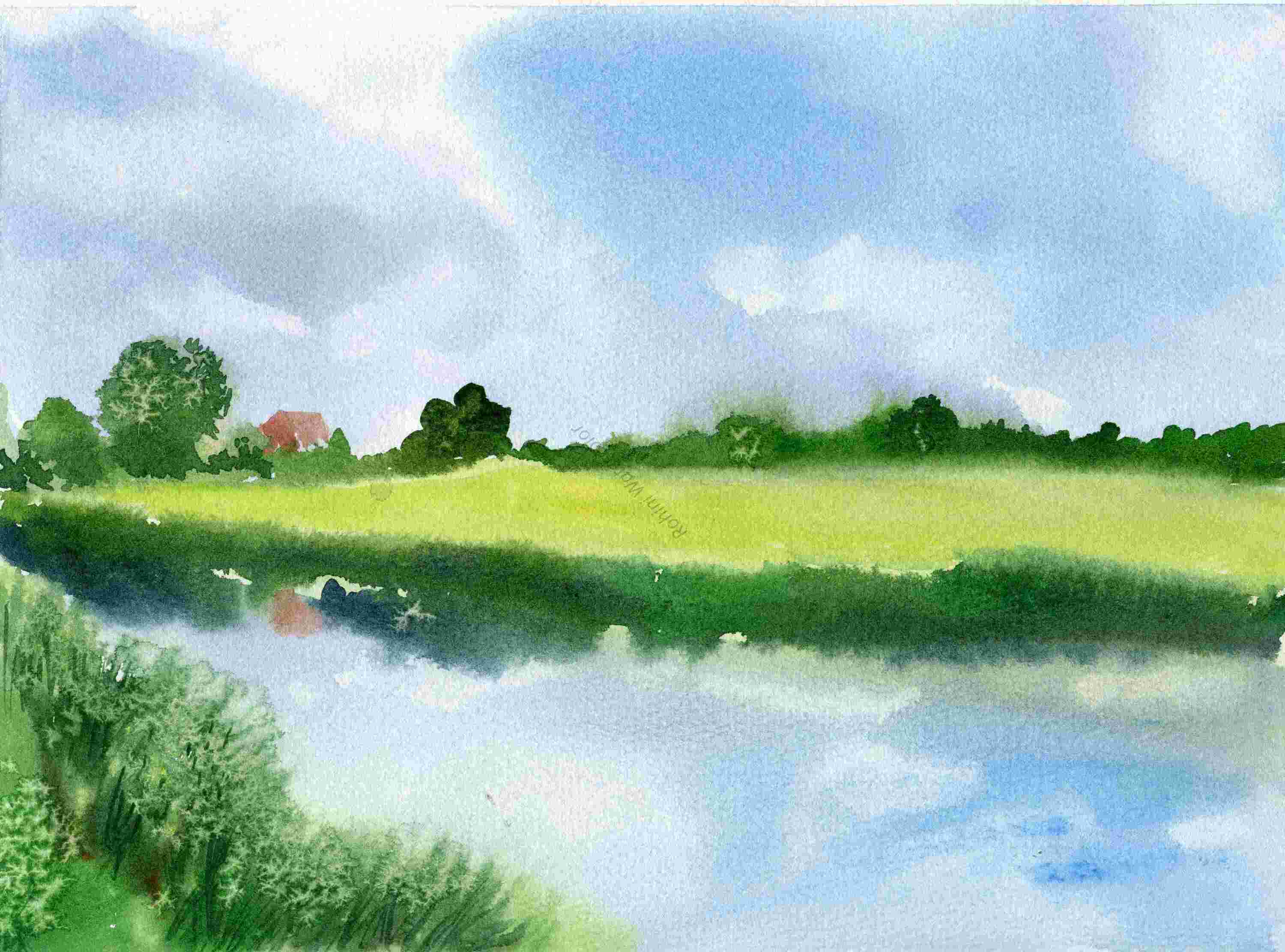 Serene Streamscape