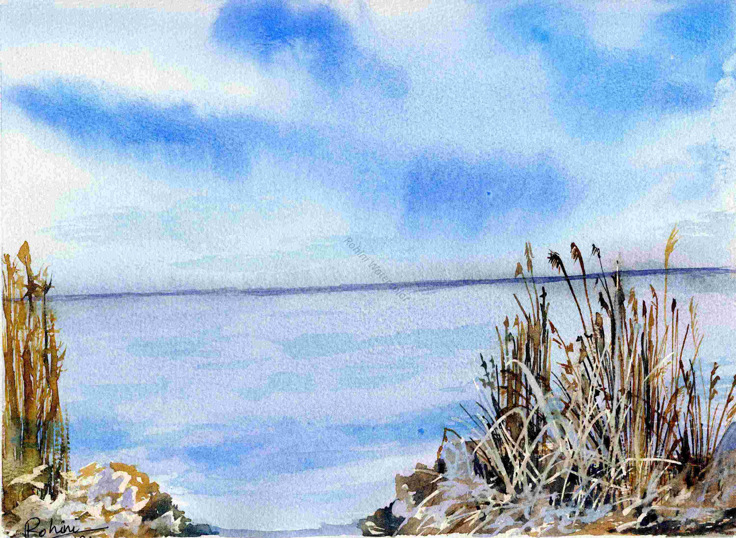 Shoreline Serenity