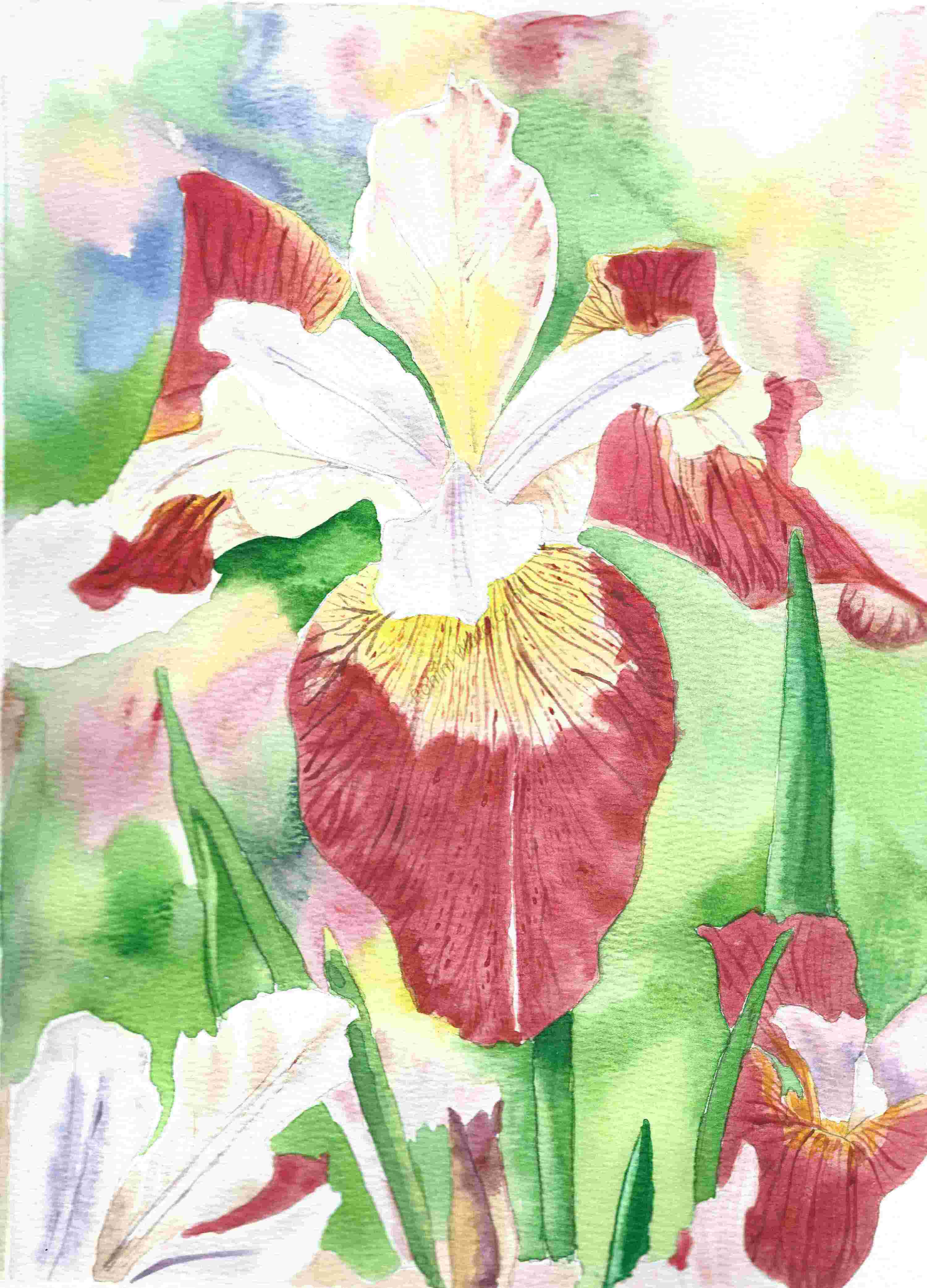 Hand-Painted Floral Artwork