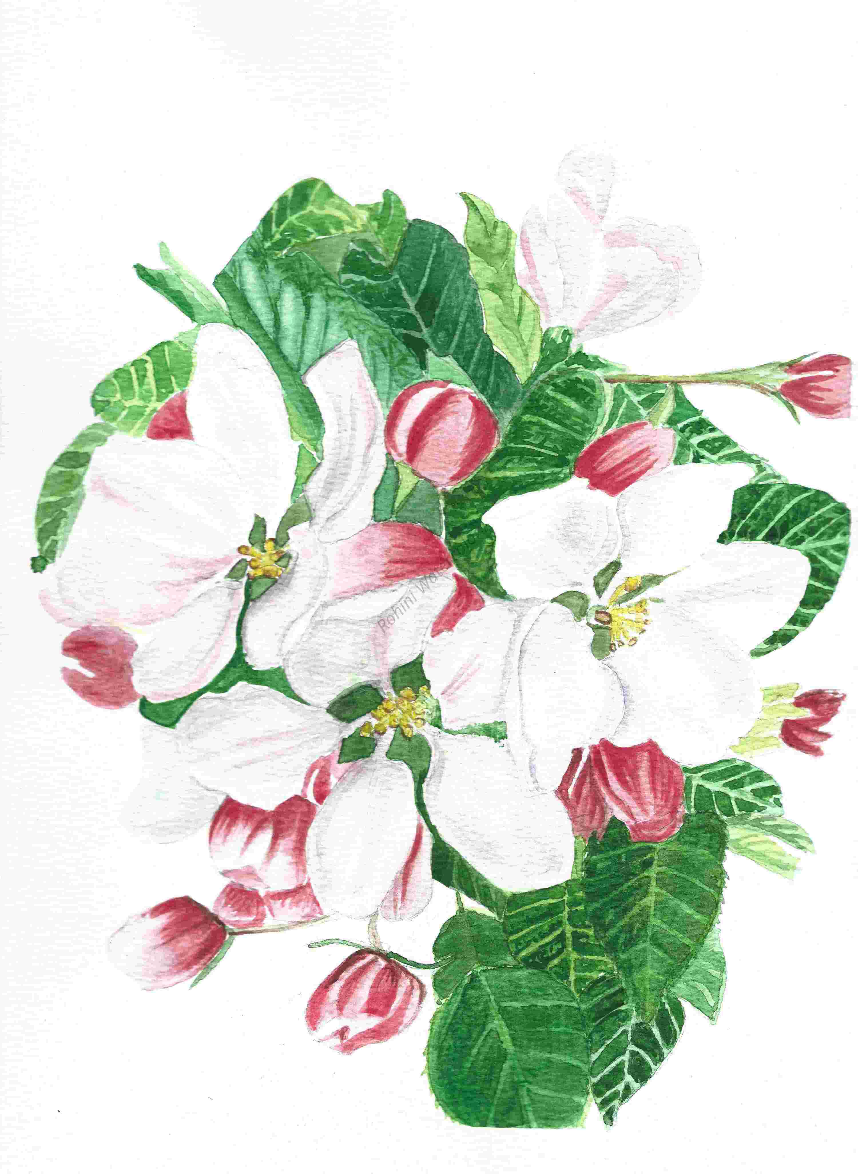 Hand-Painted Floral Art