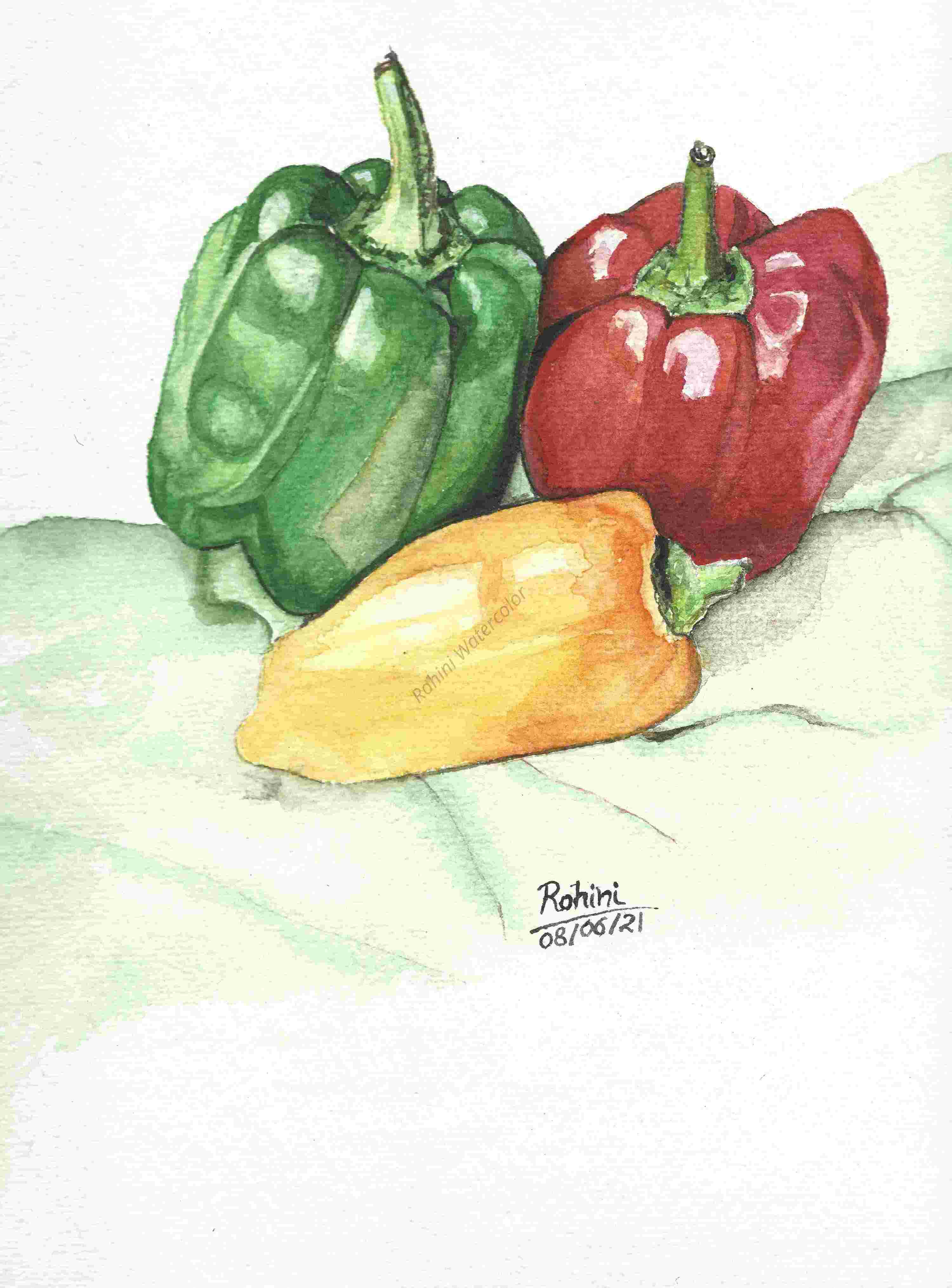 Bell Pepper Watercolor Painting 9 x 12 